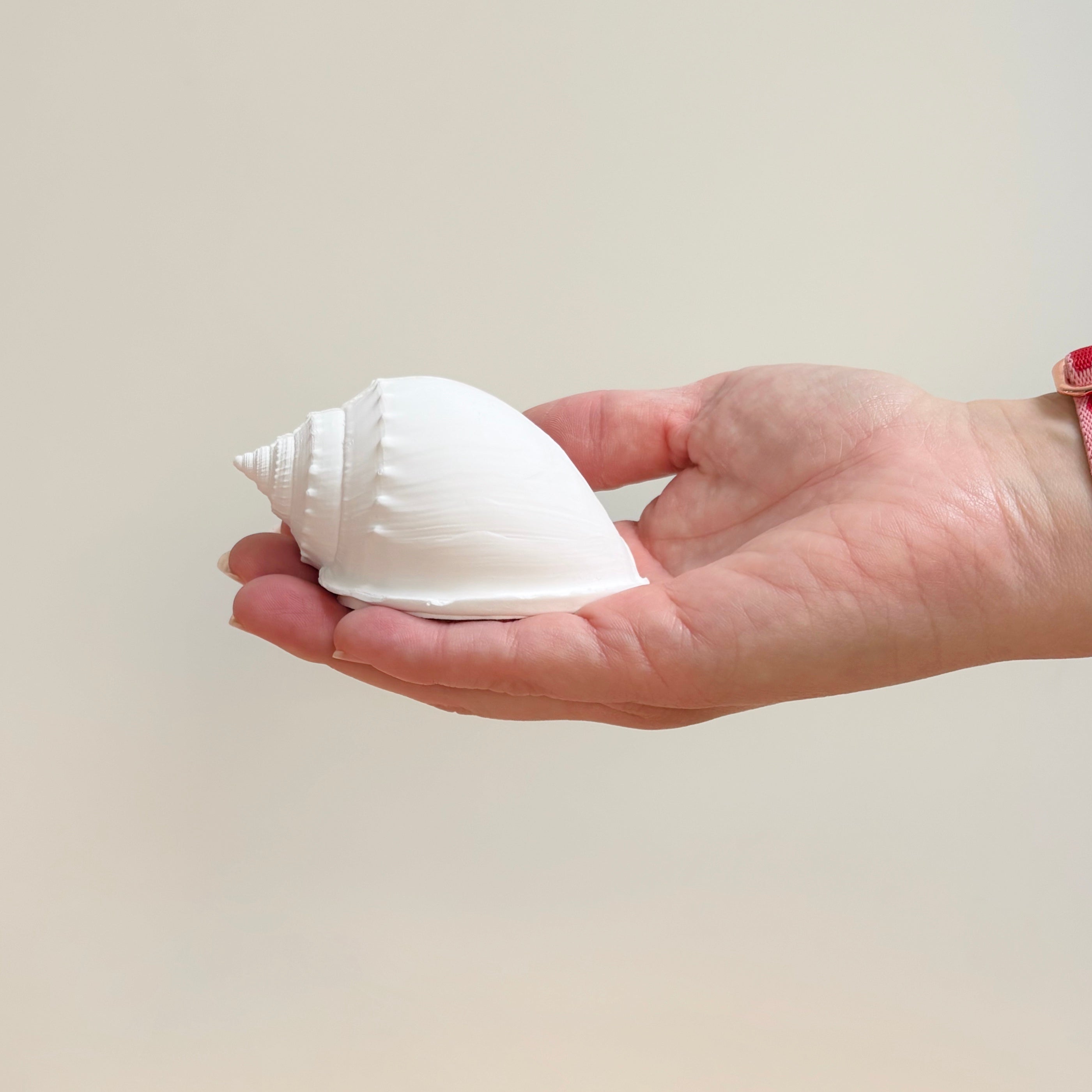 eco resin sea shell photo display