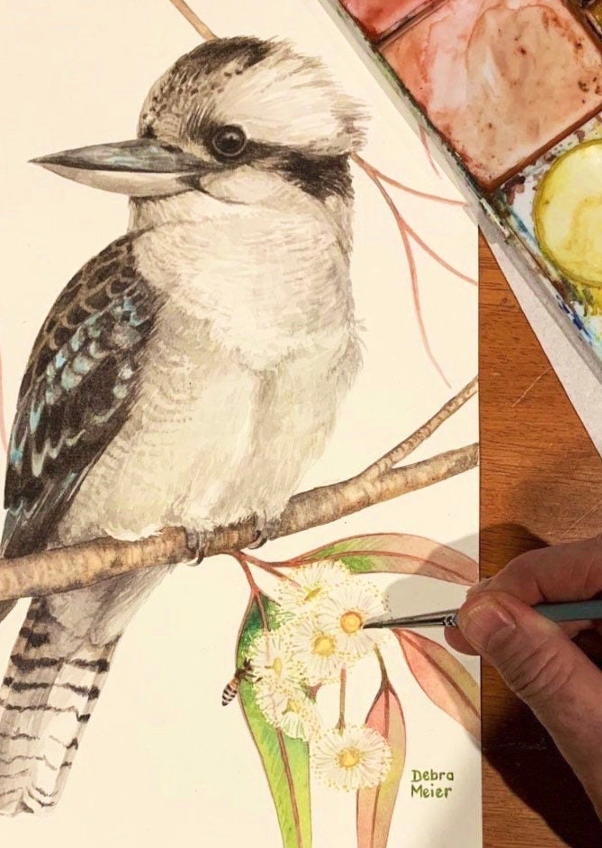 Kookaburra with Gumleaves art print by Debra Meier Art