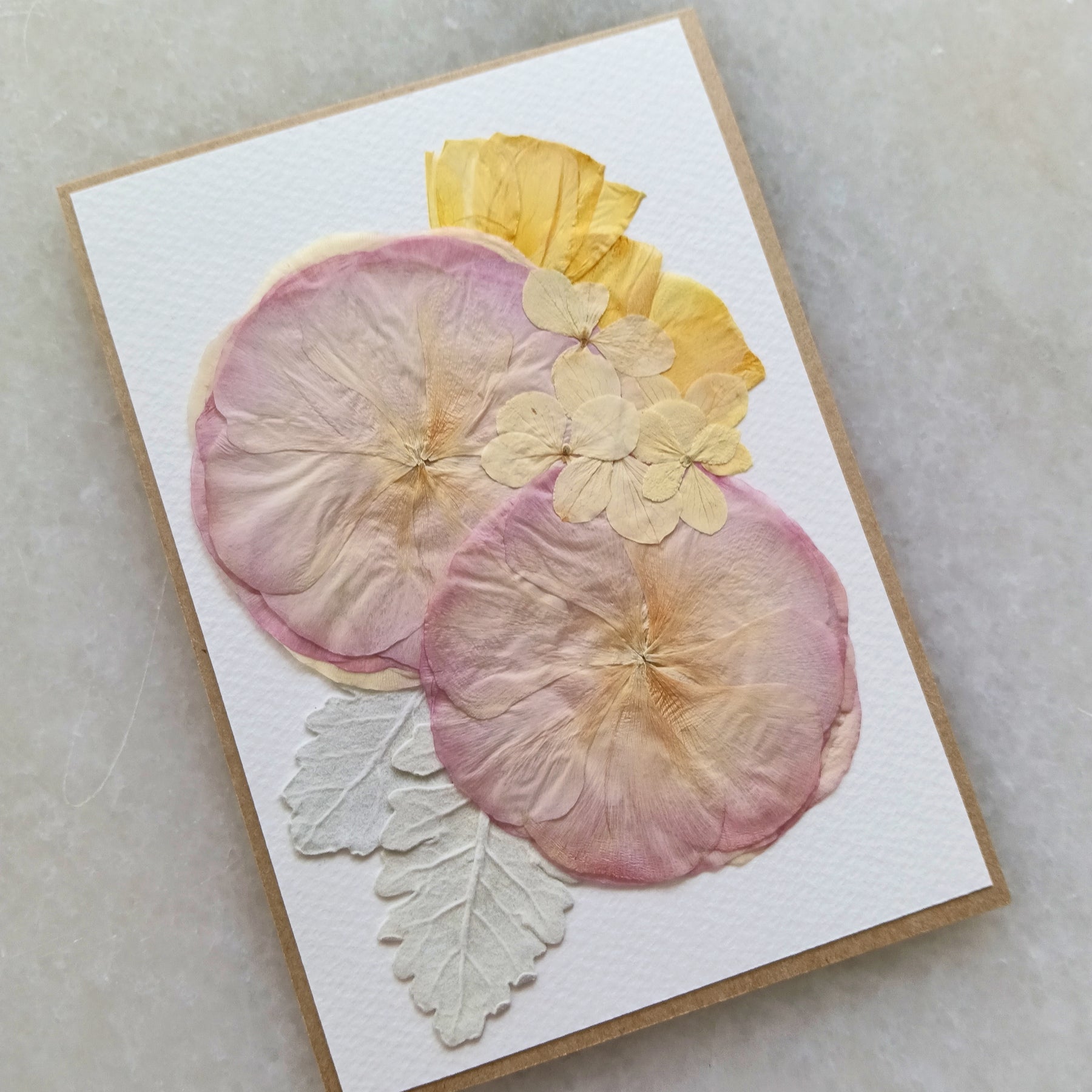 Radiant Ranunculus | Pressed Flower Handmade Card