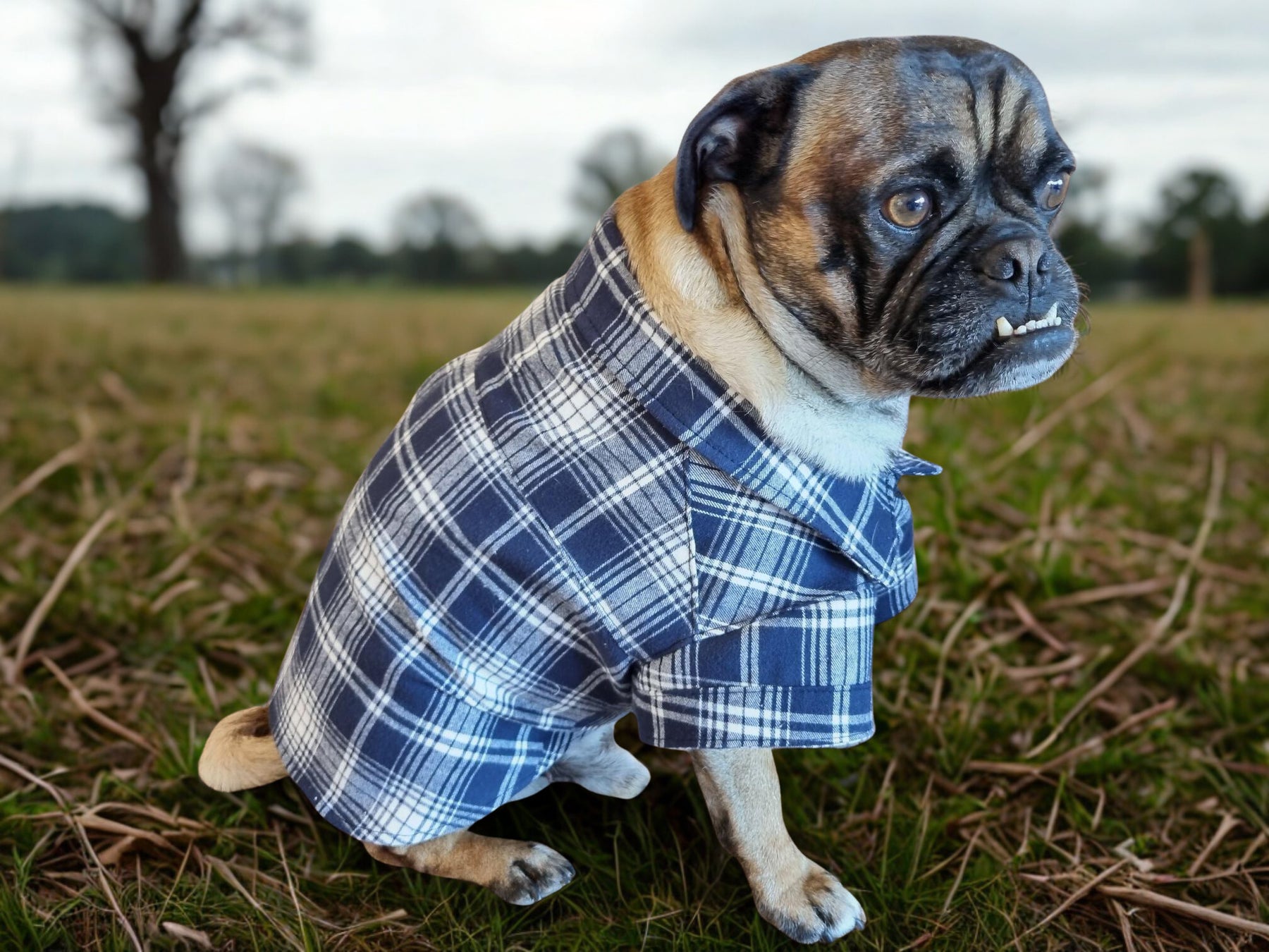 Dog Shirt Coat Jacket up to 20kg Flannelette, Hawaiian