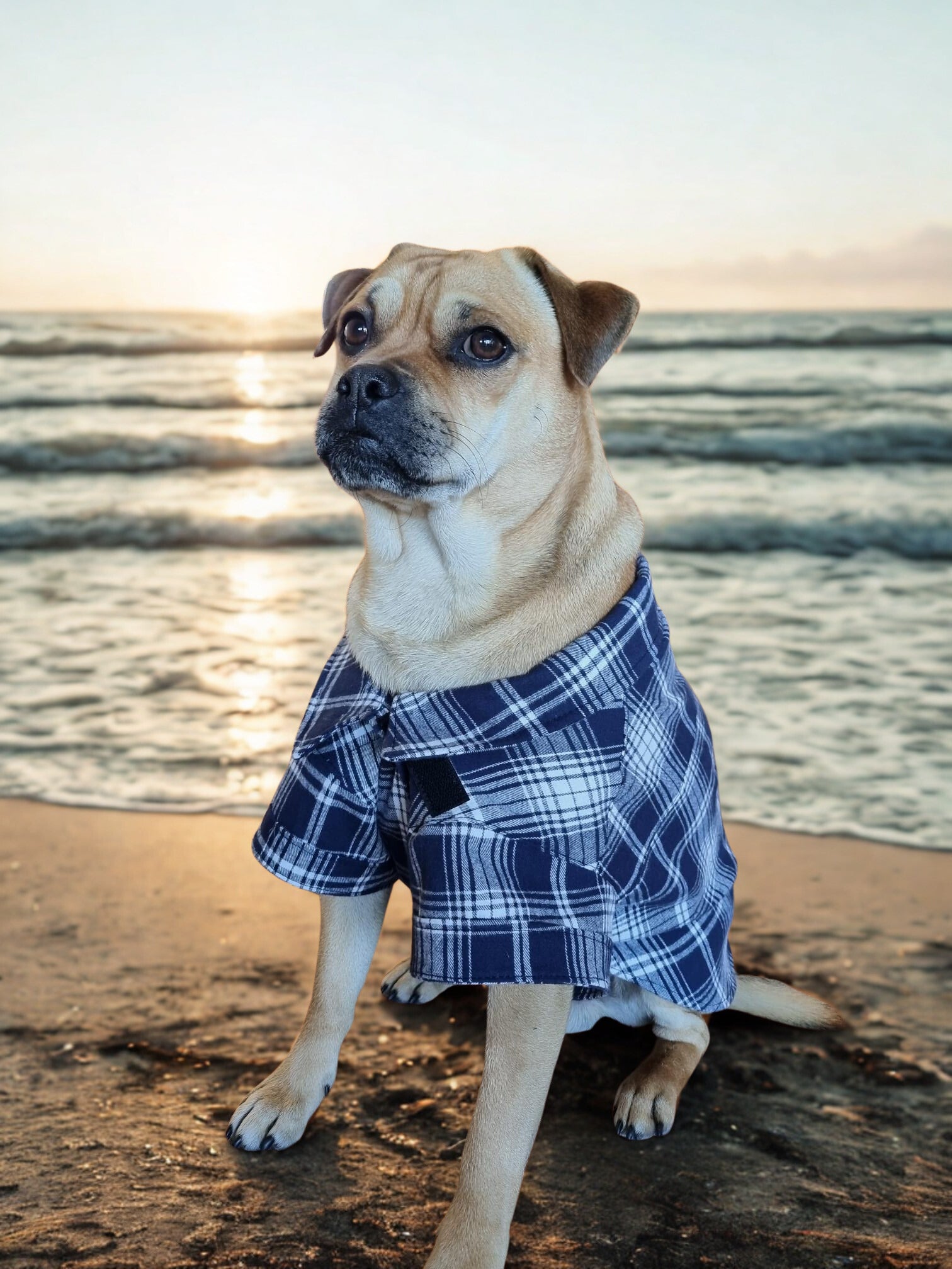 Dog Shirt Coat Jacket up to 20kg Flannelette, Hawaiian