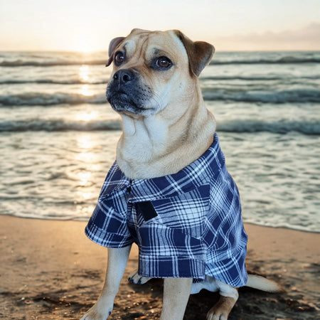 Dog Shirt Coat Jacket up to 20kg Flannelette, Hawaiian