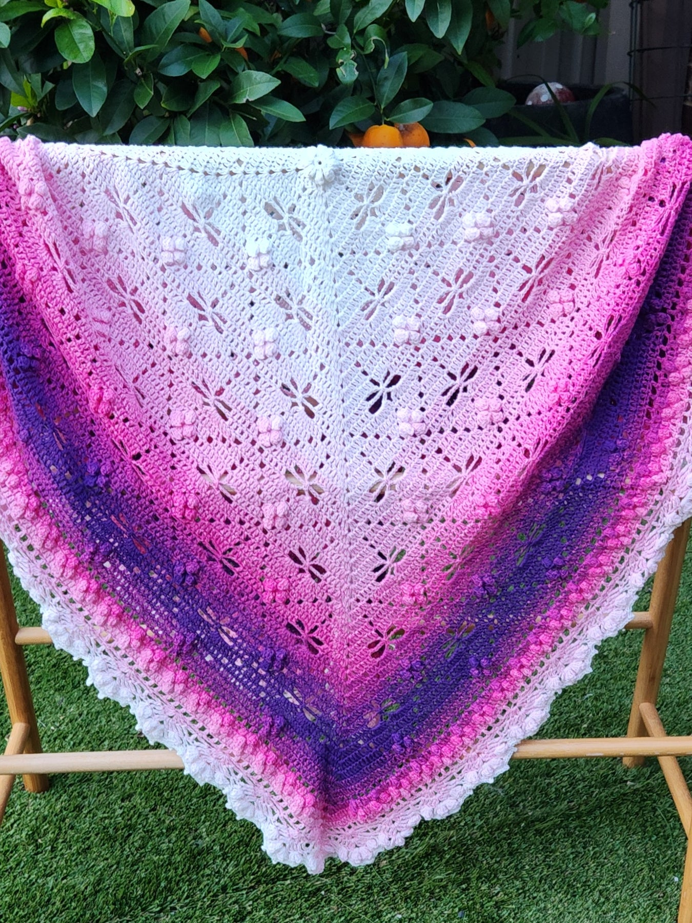 Crochet Pink Ombre Dragonfly Blanket