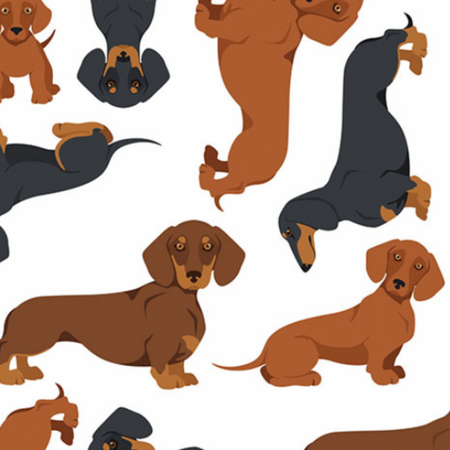 Andrea Special Order