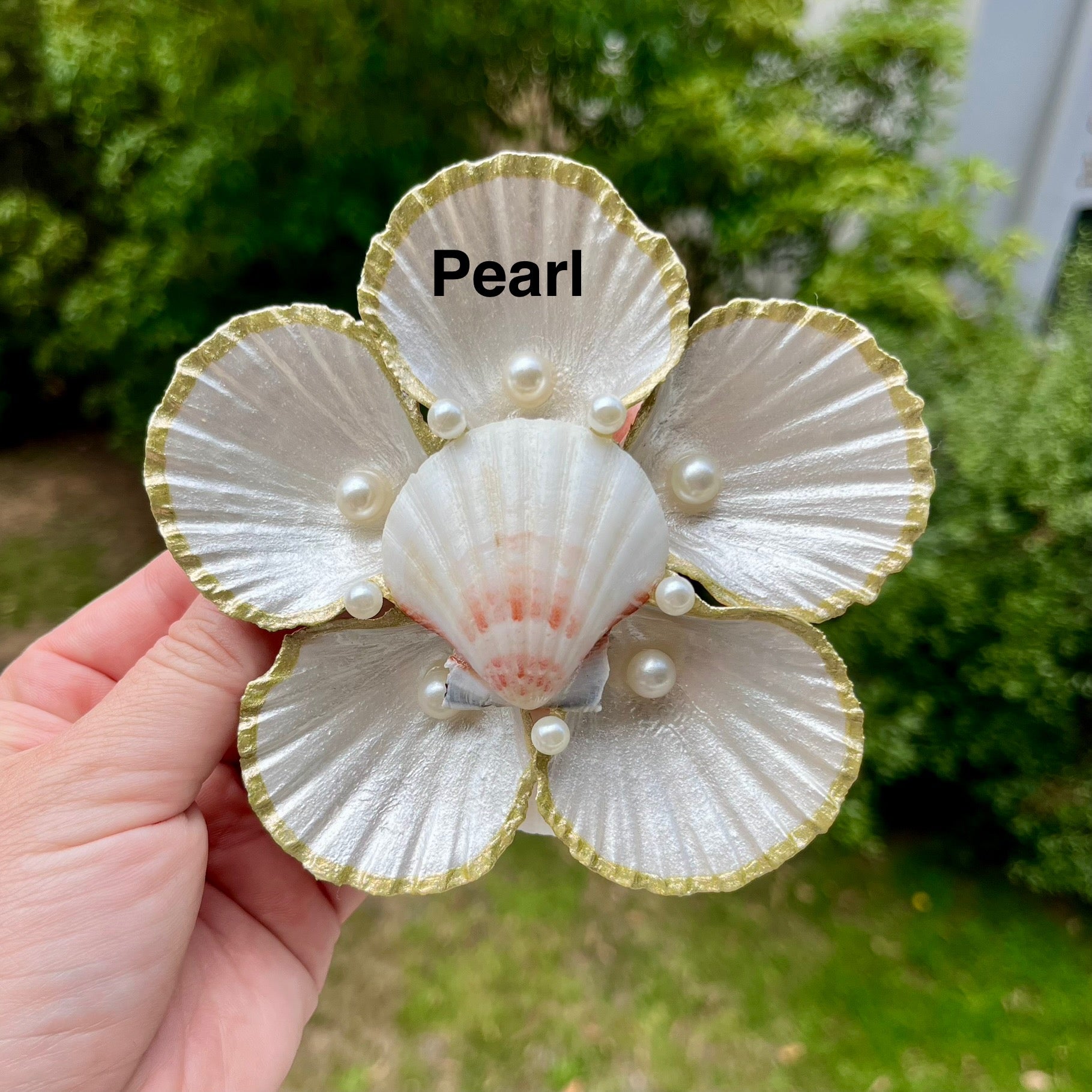 Large Scallop Shell Flower Trays