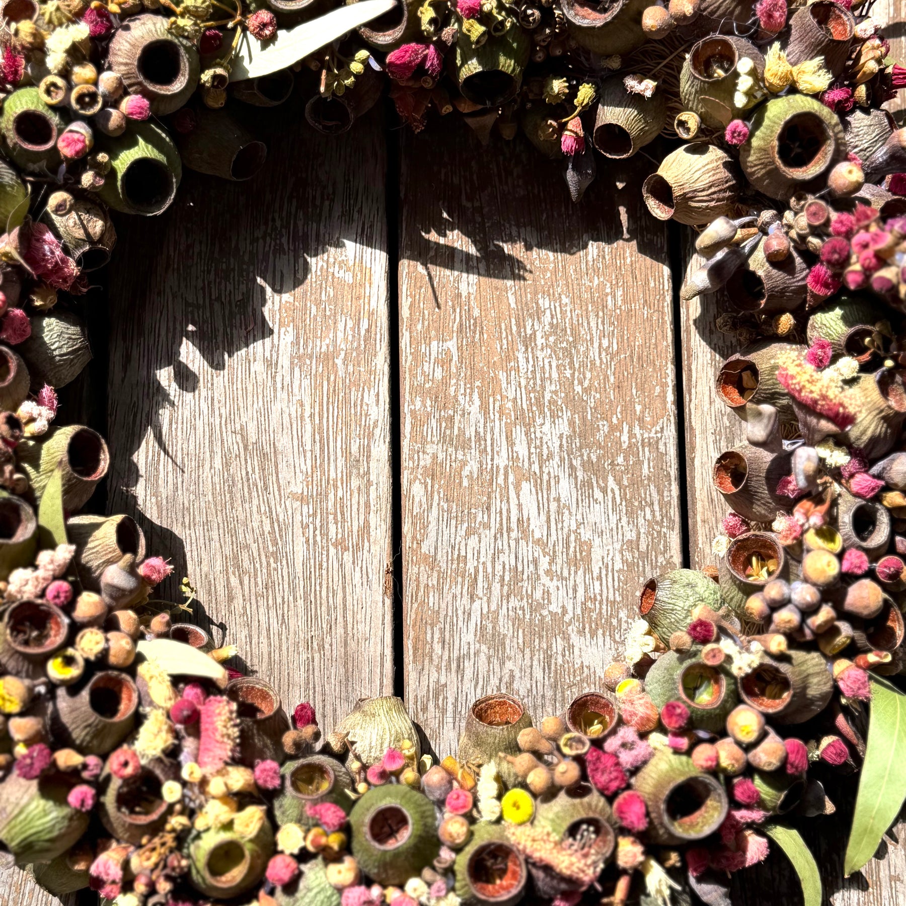 Australian Gumnut Wreath | Handmade Native Floral Wreath | Dried Eucalyptus & Gumnut Decor | Rustic Botanical Door Wreath | bushland Jewels