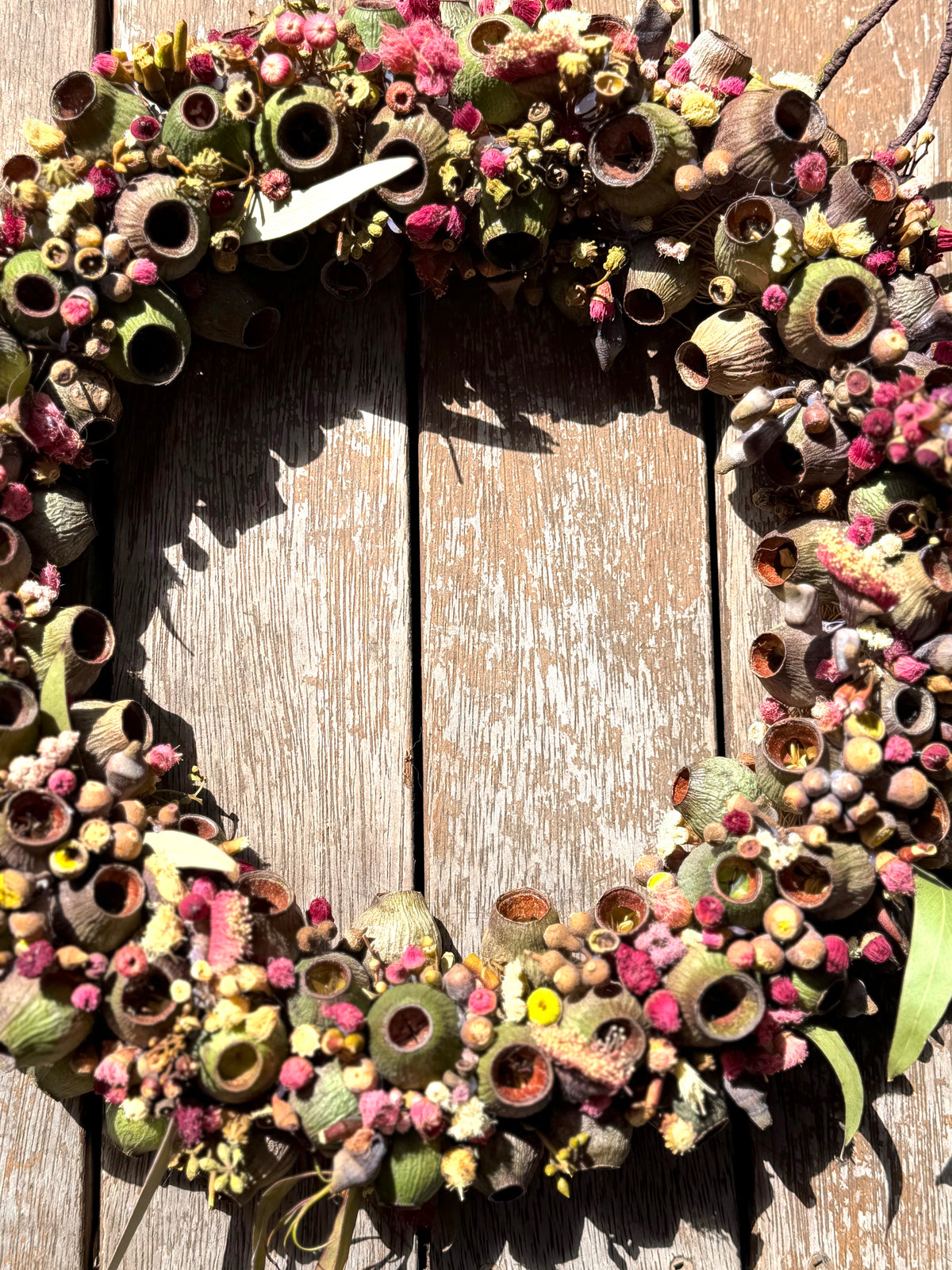Australian Gumnut Wreath | Handmade Native Floral Wreath | Dried Eucalyptus & Gumnut Decor | Rustic Botanical Door Wreath | bushland Jewels
