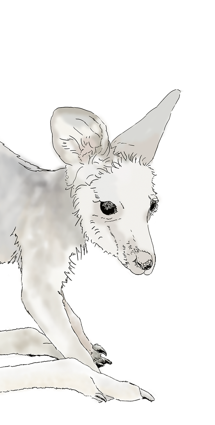 Little Rescuer – Limited Edition A4 Fine Art Print
