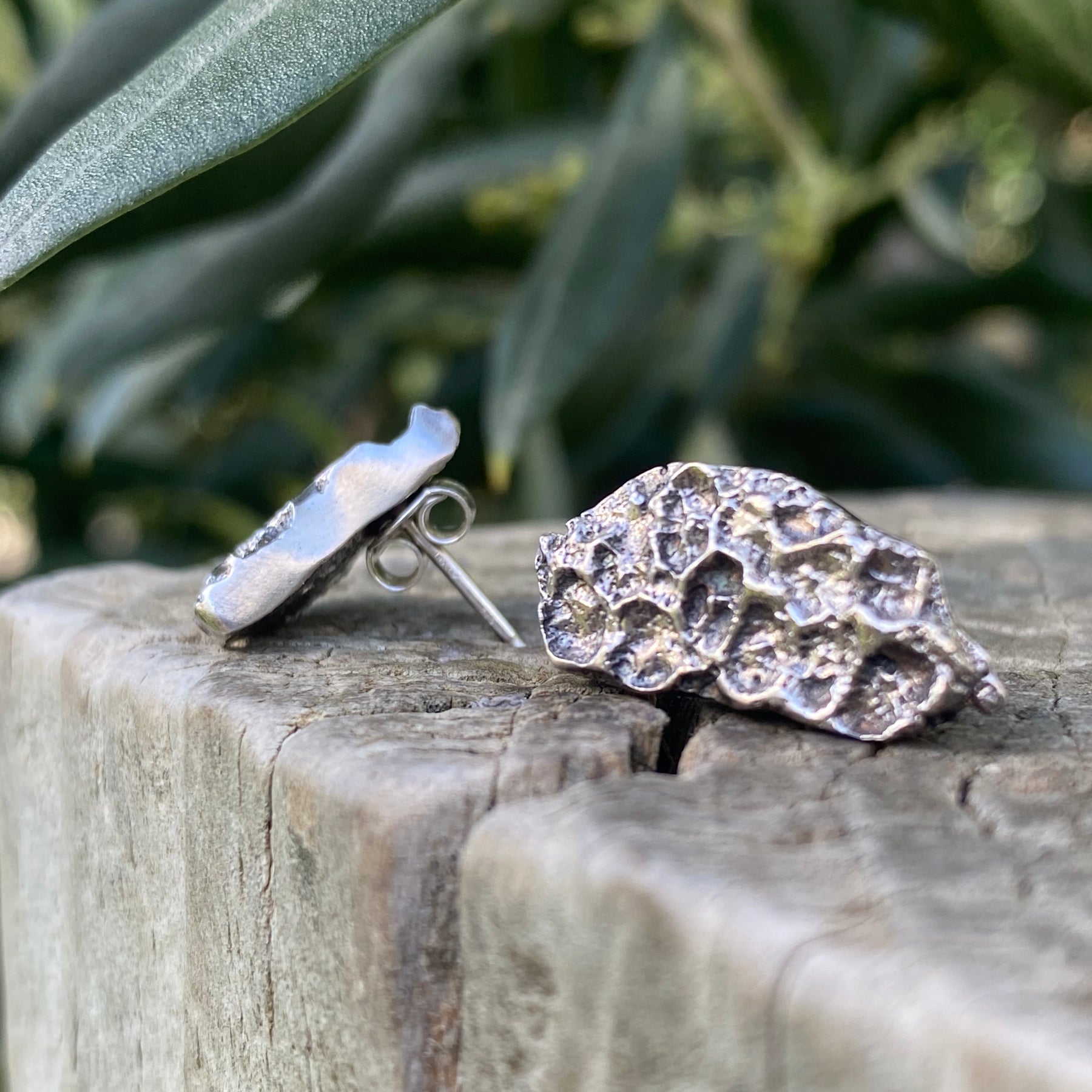 Rockpool Coral Impressions Stud Earrings, Sterling Silver