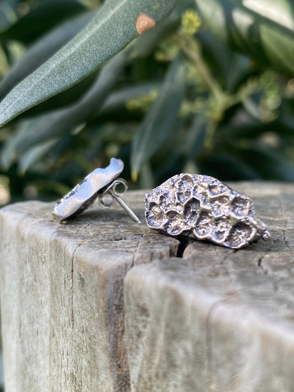 Rockpool Coral Impressions Stud Earrings, Sterling Silver