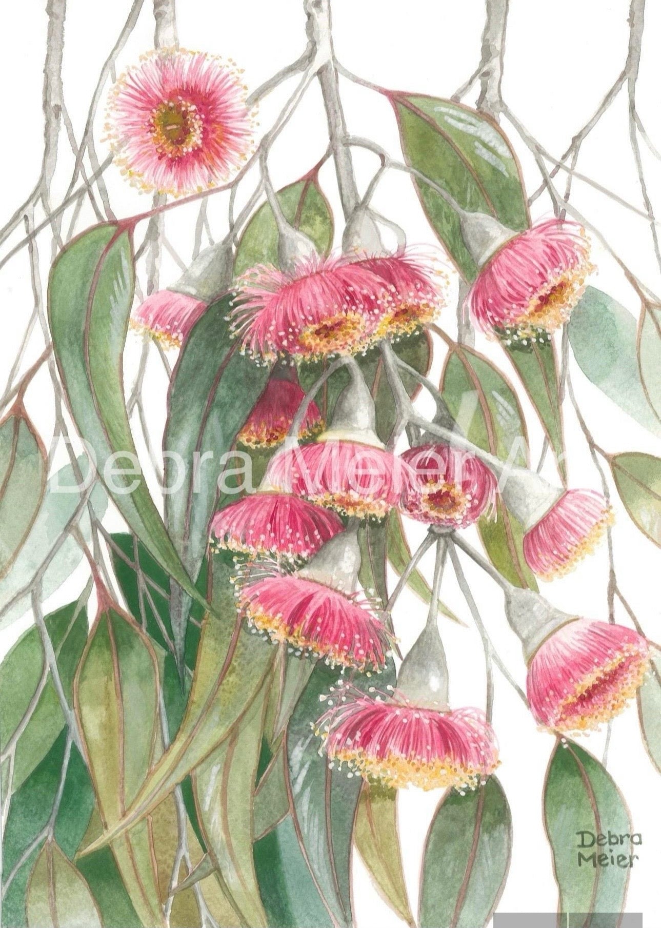 Silver Princess Gumblossoms art print by Debra Meier Art