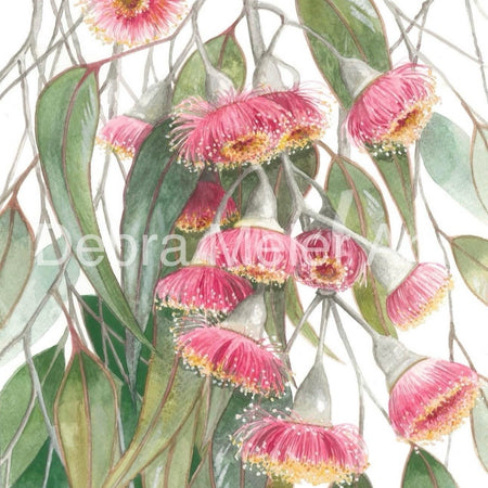 Silver Princess Gumblossoms art print by Debra Meier Art