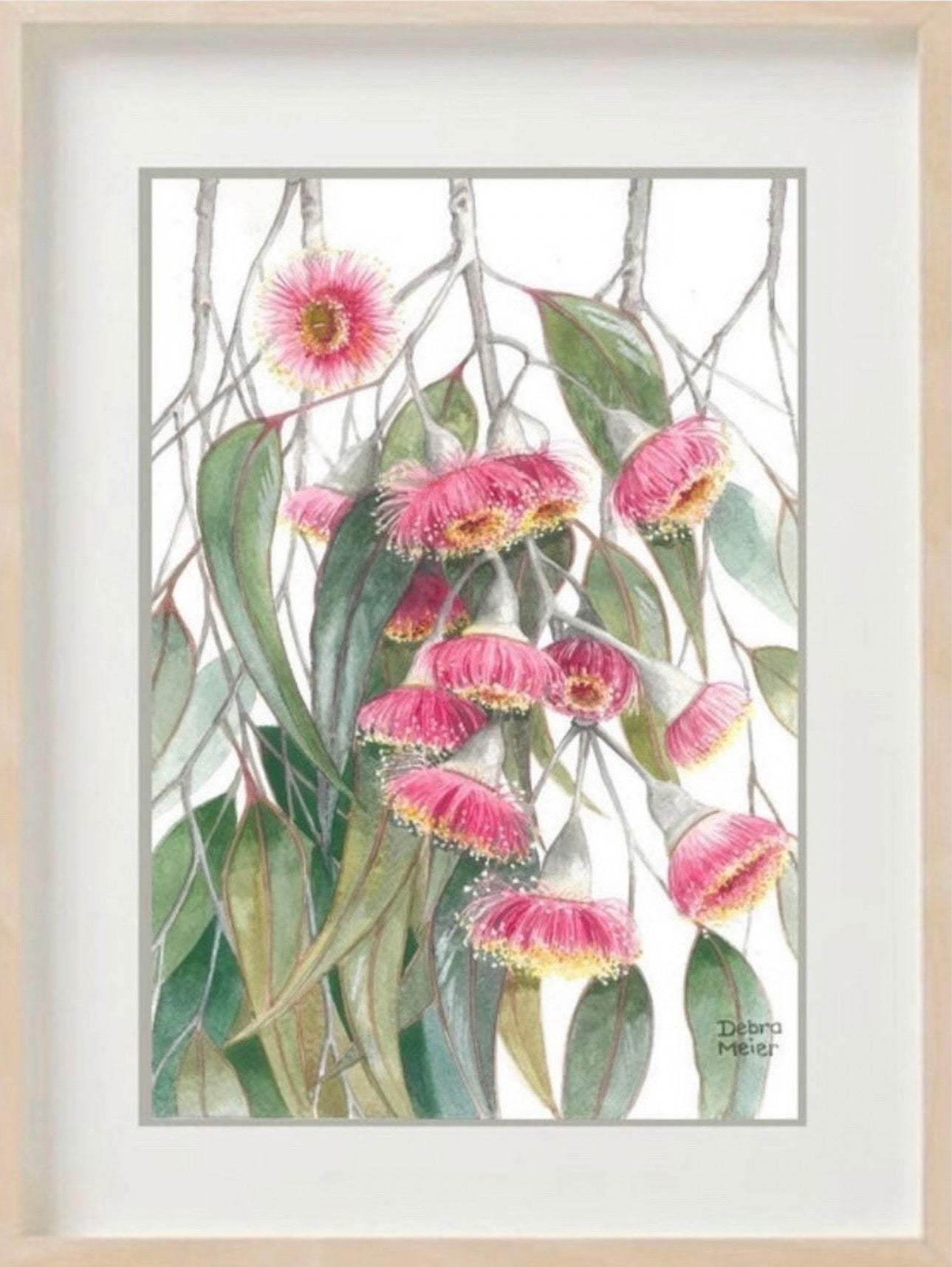 Silver Princess Gumblossoms art print by Debra Meier Art