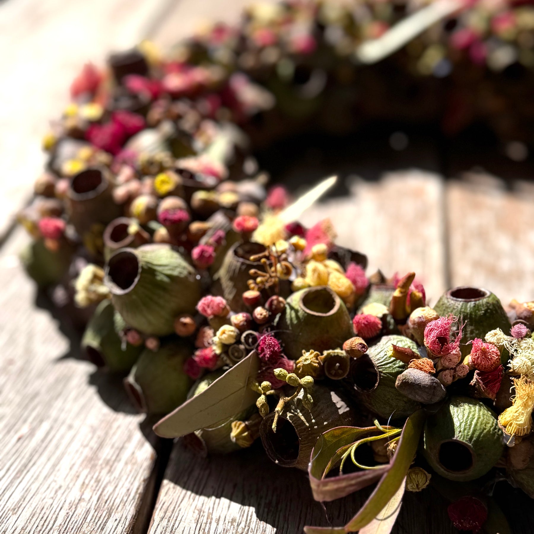 Australian Gumnut Wreath | Handmade Native Floral Wreath | Dried Eucalyptus & Gumnut Decor | Rustic Botanical Door Wreath | bushland Jewels