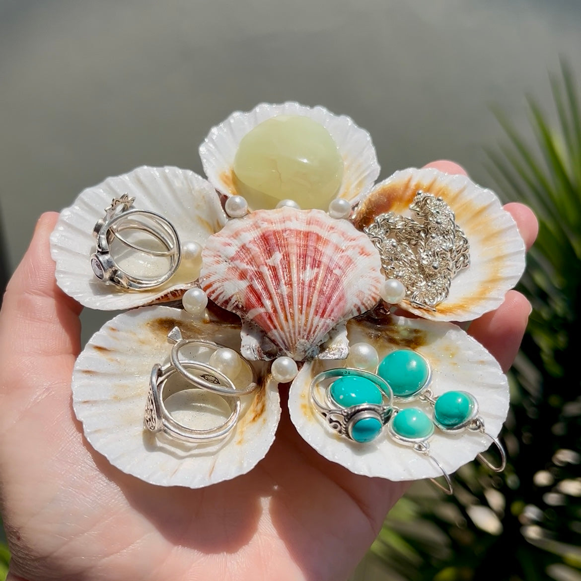 Medium Scallop Shell Flower Trays