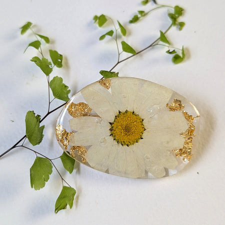 Real White Daisy Pressed Resin Floral Brooch Pin