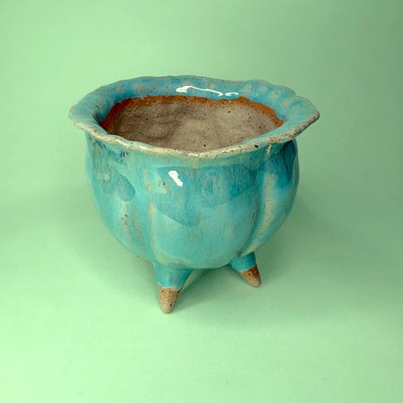 Ceramic cauldron orchid pot