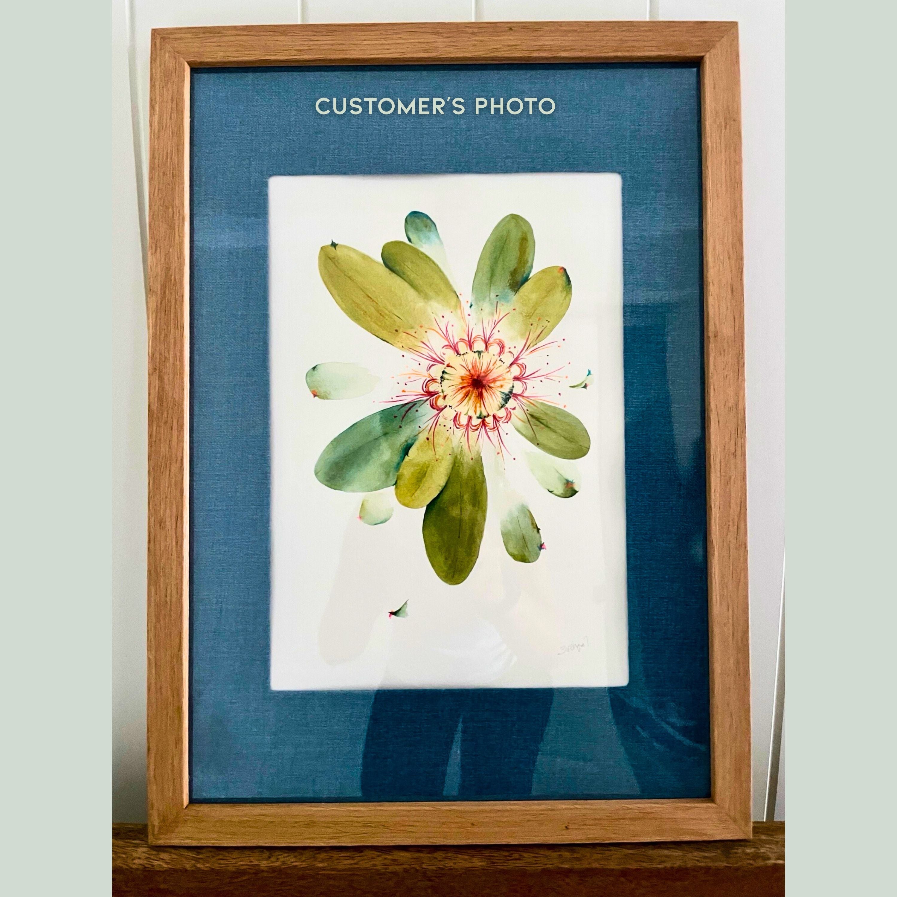 Commissioned Original Banksia Watercolour Painting - A4 Botanical Artwork (Sold)