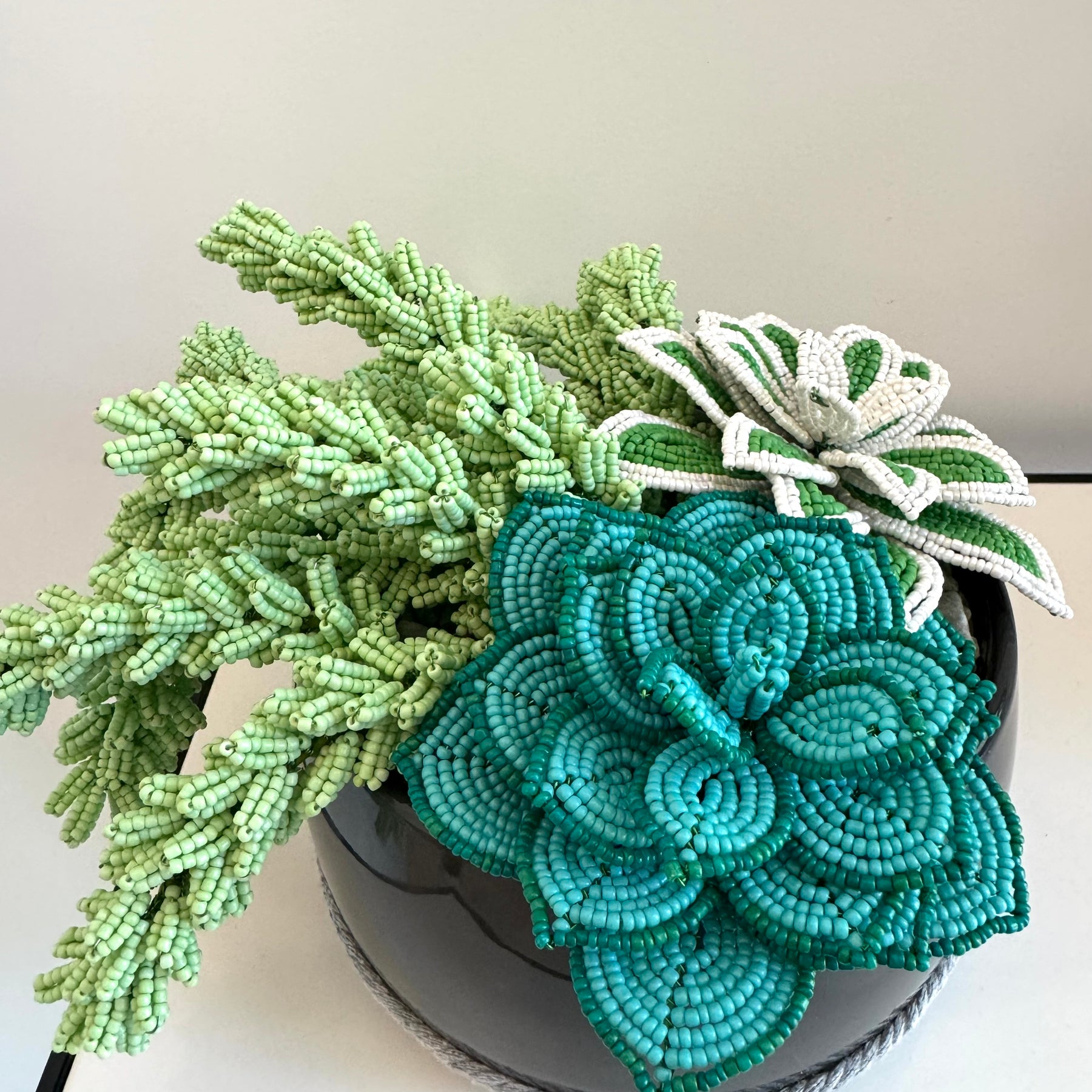 succulent plants in french French-beaded potted mixed succulents