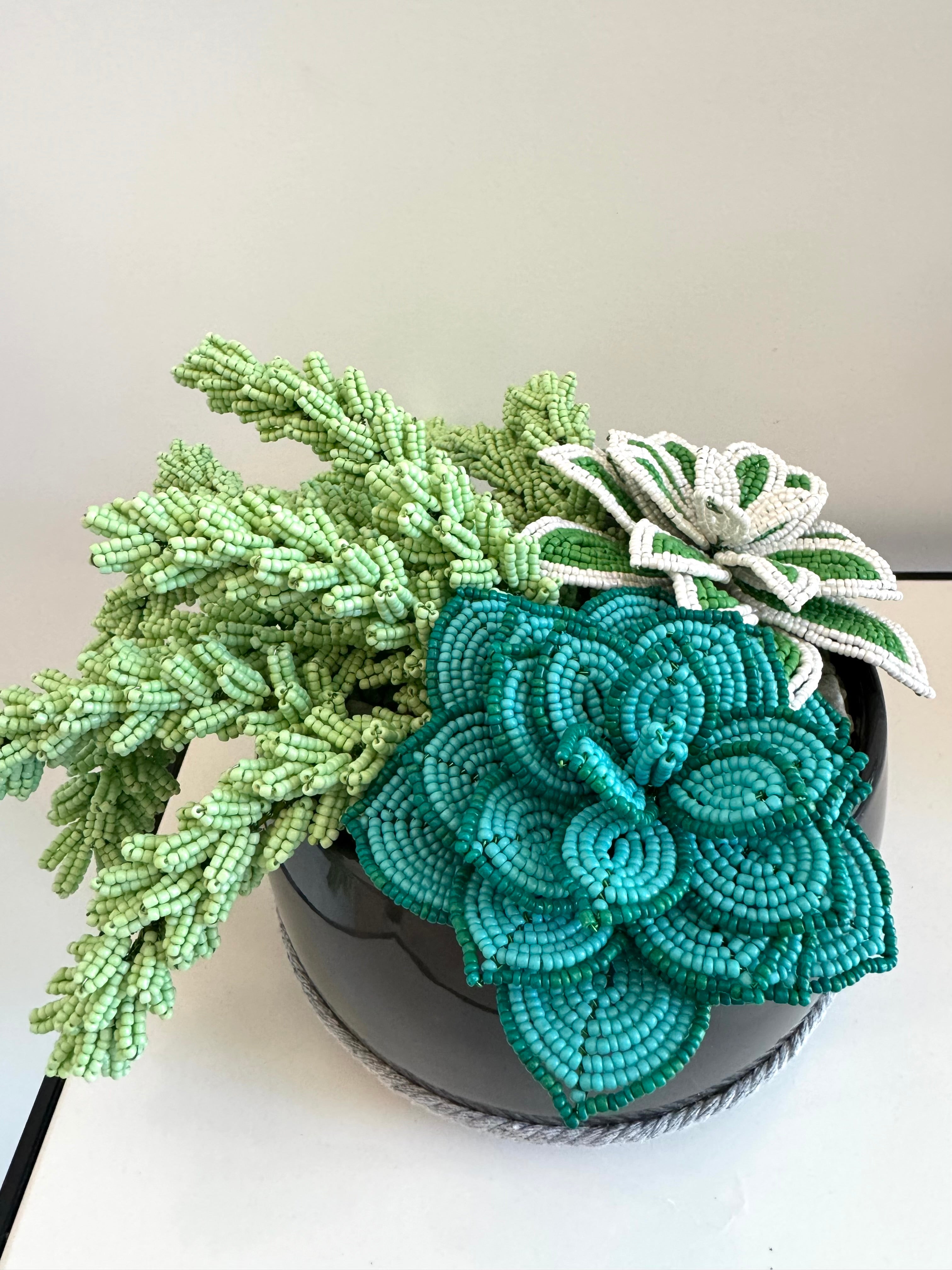 French-beaded potted mixed succulents