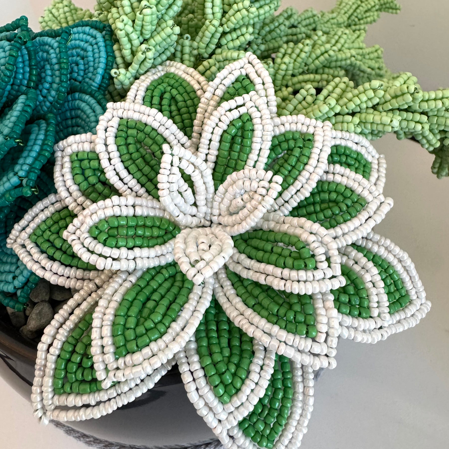 French-beaded potted mixed succulents