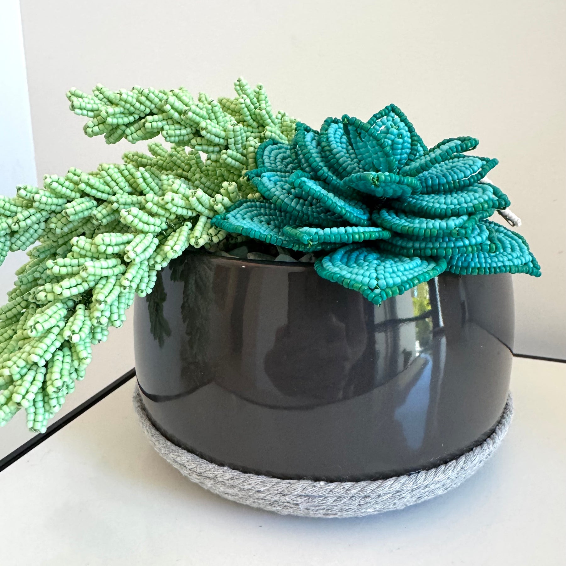 succulent plants in french French-beaded potted mixed succulents