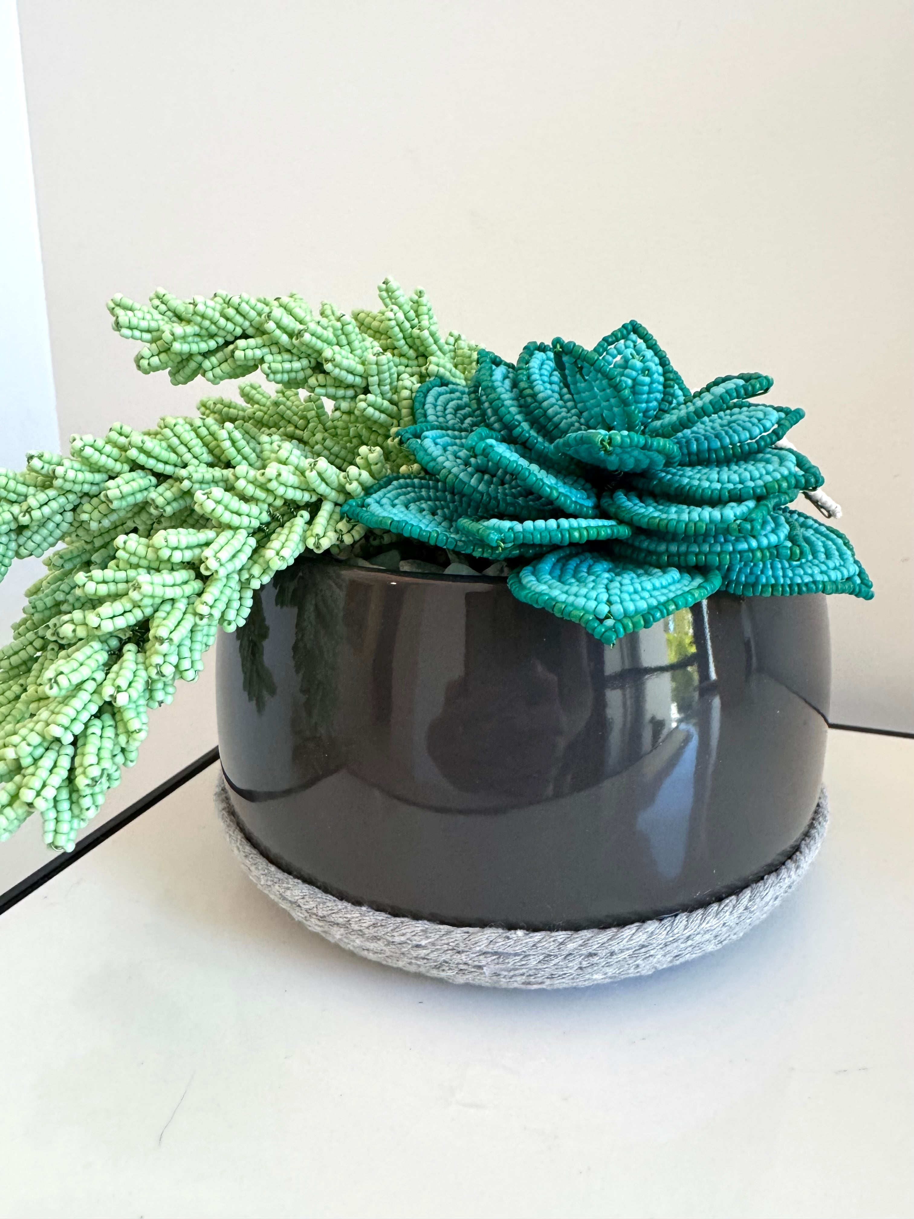 French-beaded potted mixed succulents
