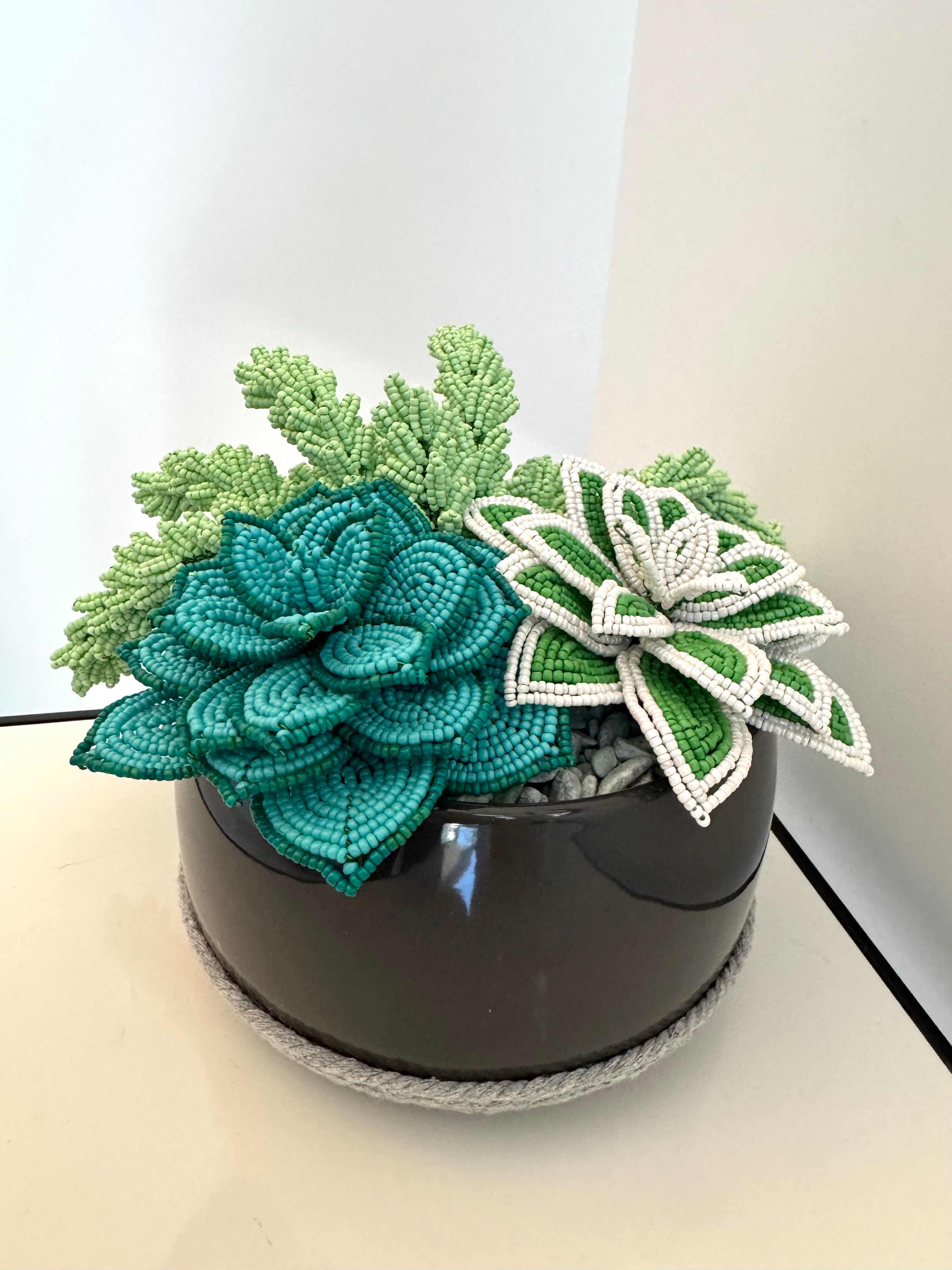 French-beaded potted mixed succulents