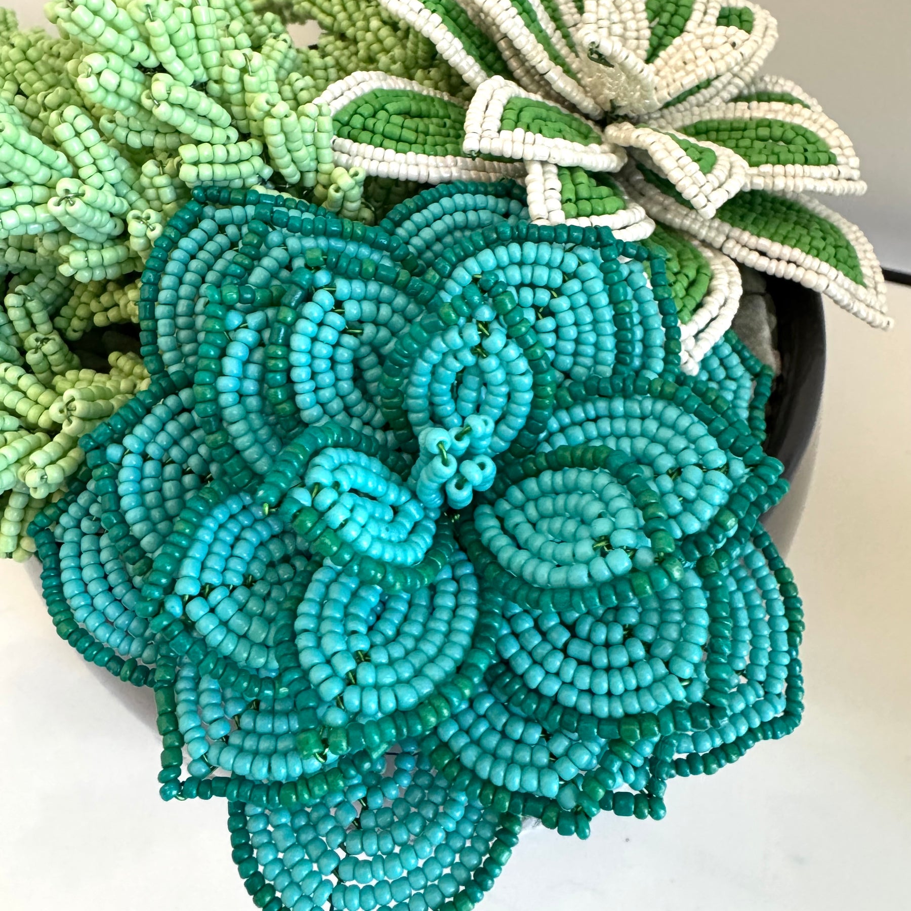 French-beaded potted mixed succulents