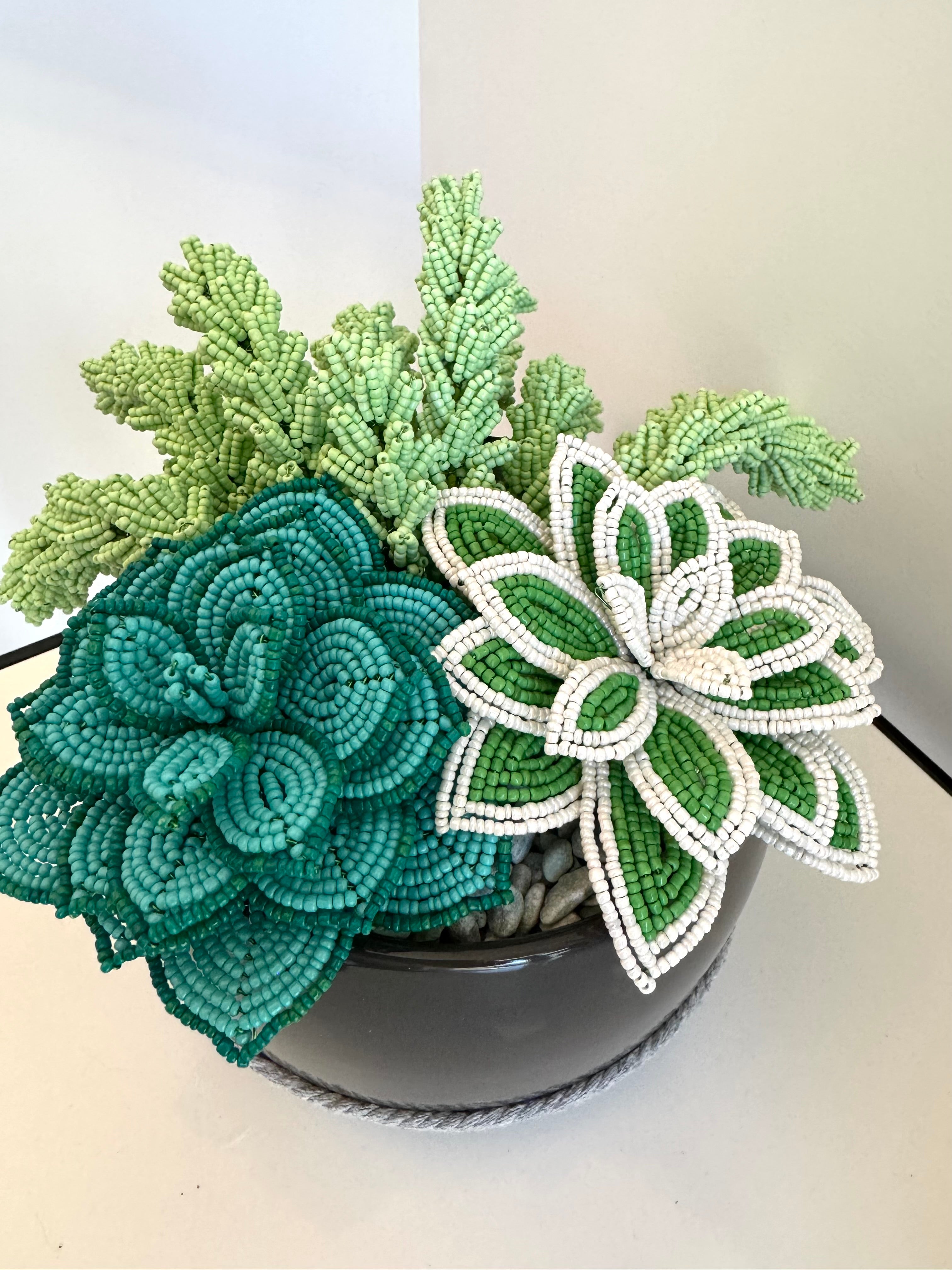 French-beaded potted mixed succulents
