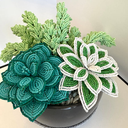 French-beaded potted mixed succulents