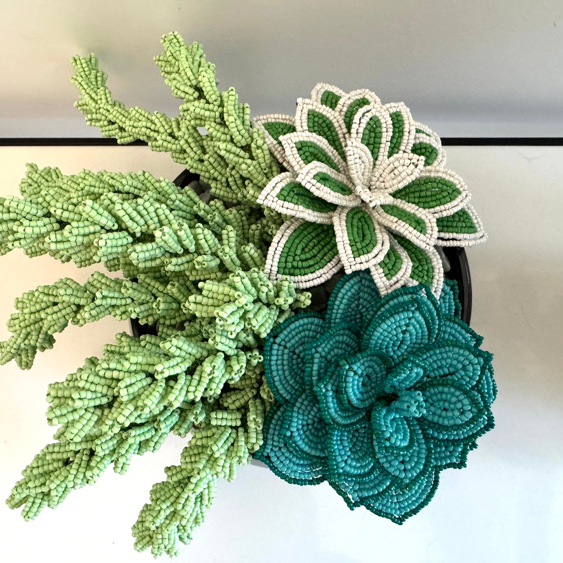 French-beaded potted mixed succulents