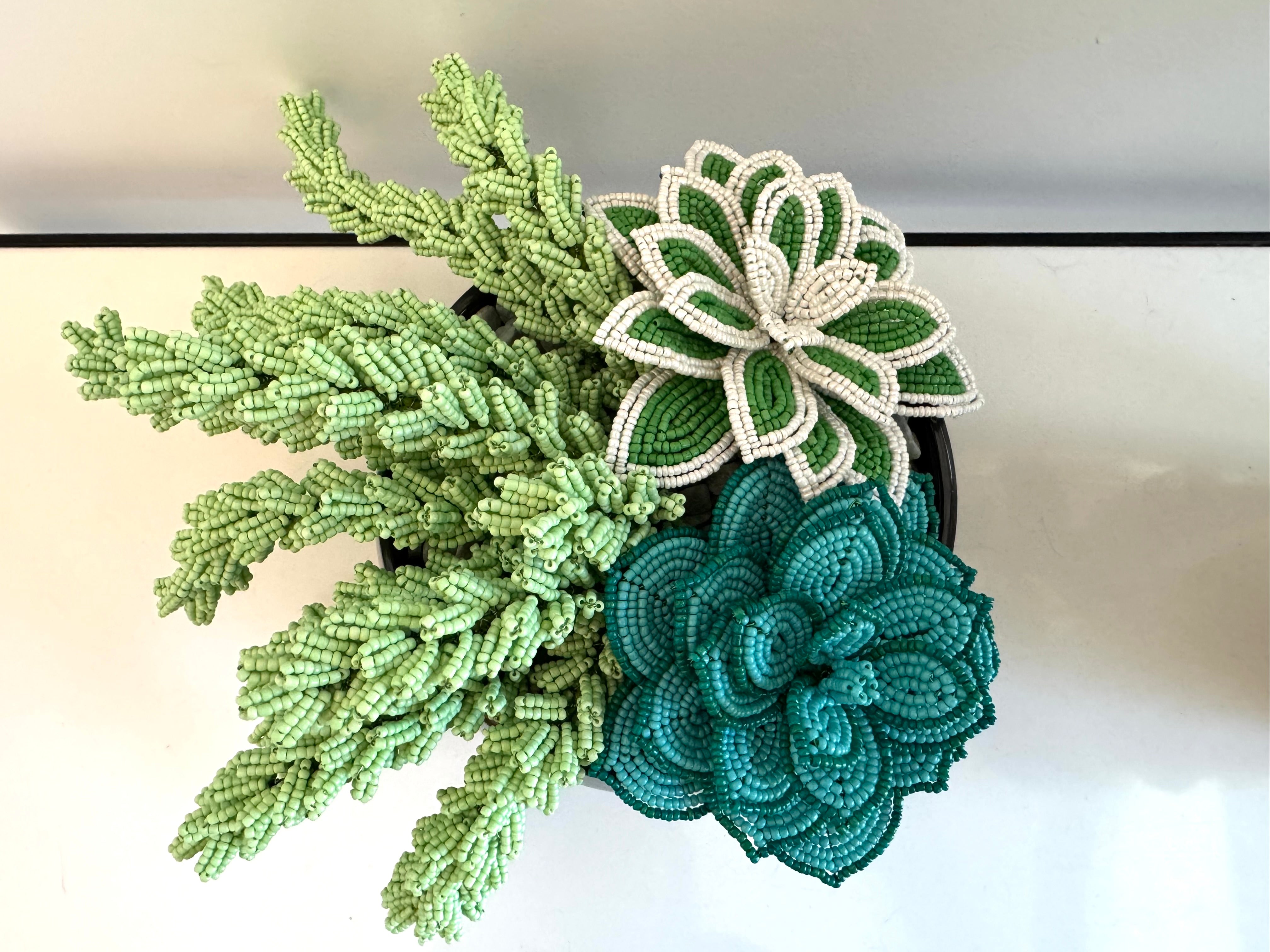 French-beaded potted mixed succulents