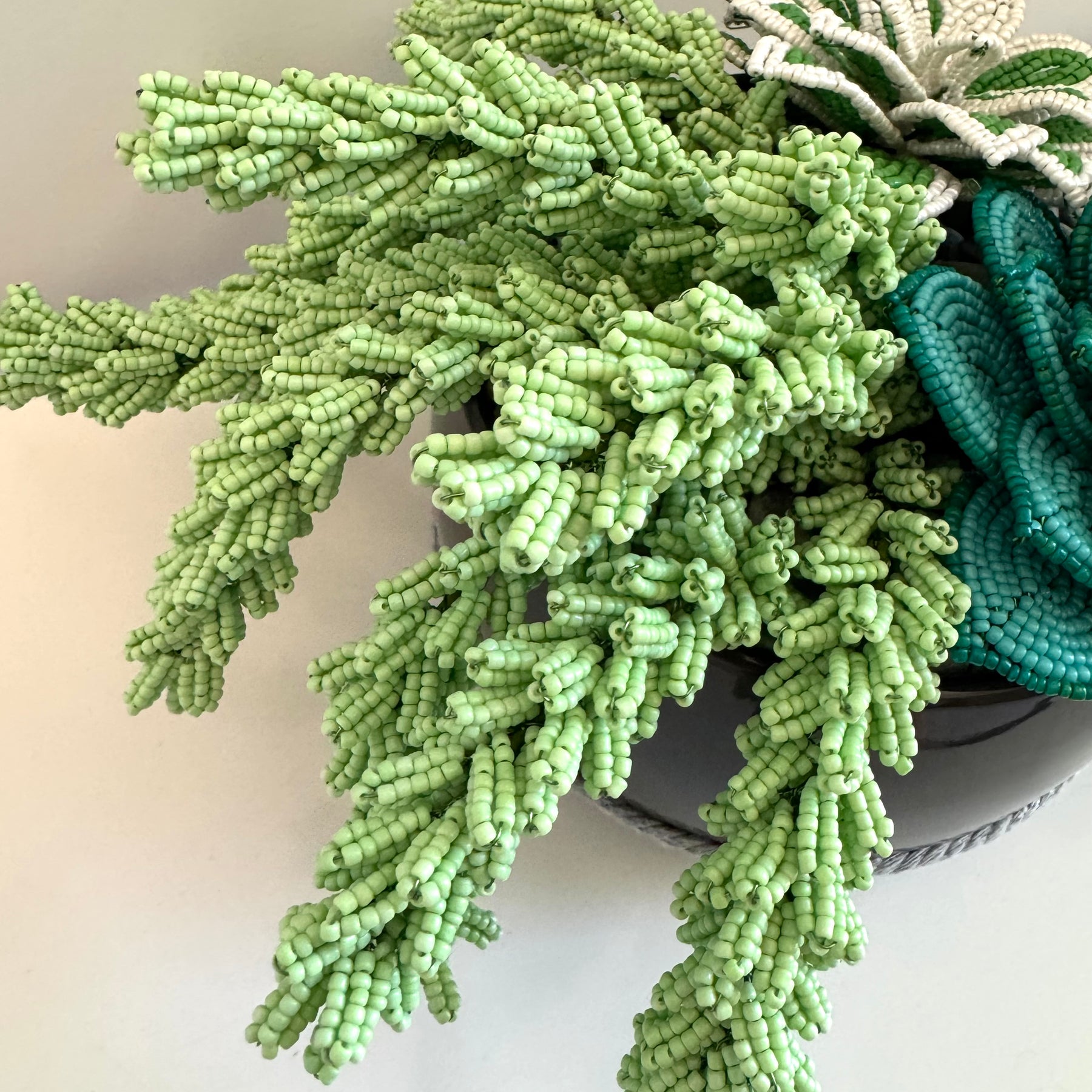 French-beaded potted mixed succulents