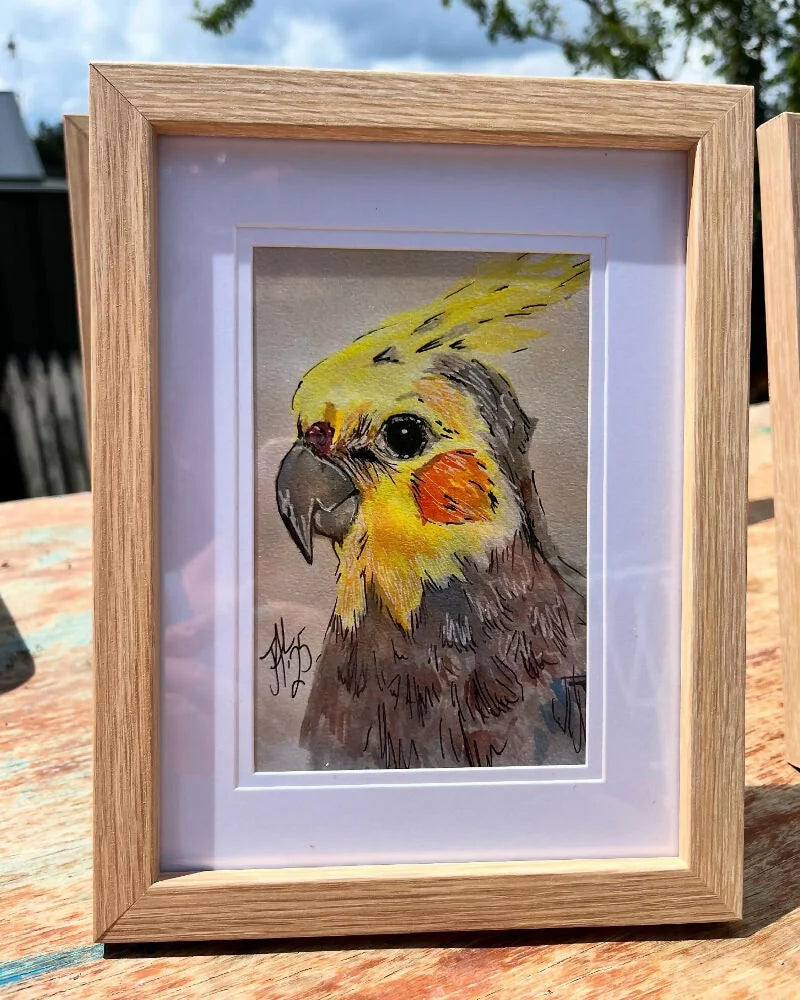 Cockateil | Australian Native Bird | A6 Framed Print