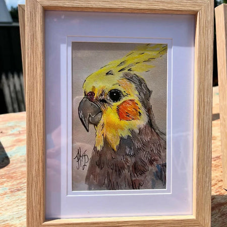 Cockateil | Australian Native Bird | A6 Framed Print