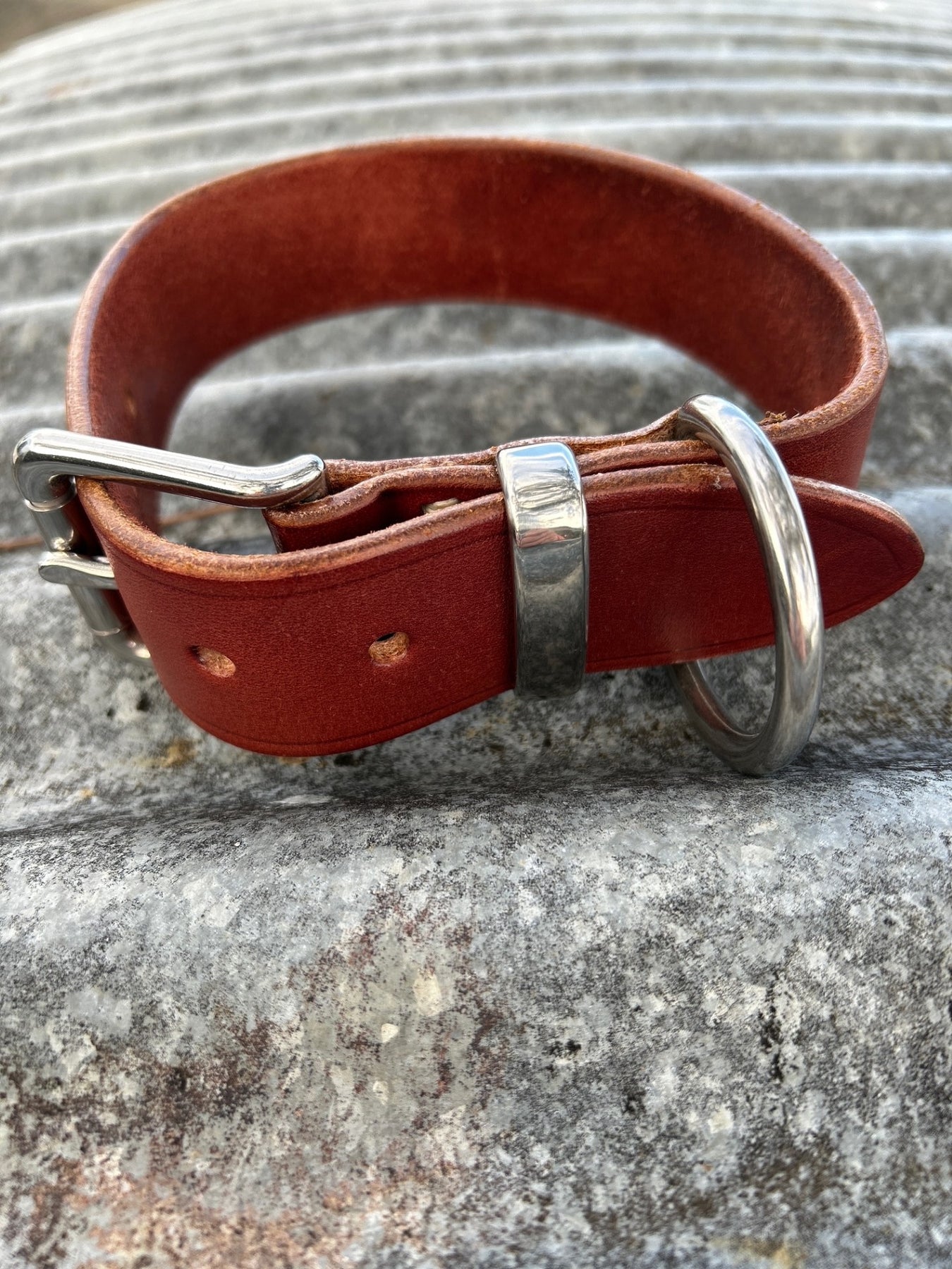 "The Penny" Dog Collar
