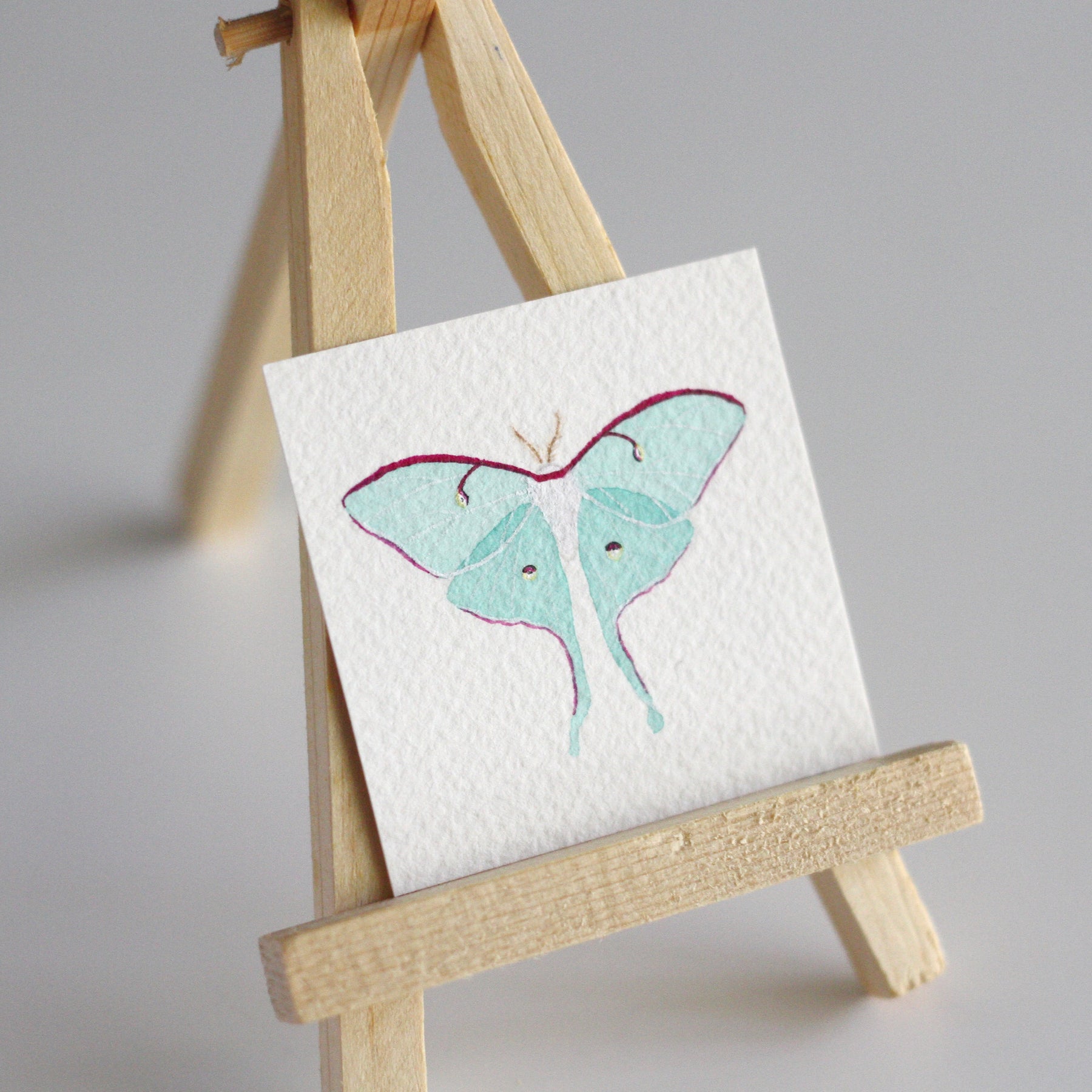 Luna Moth Tiny Watercolour Painting