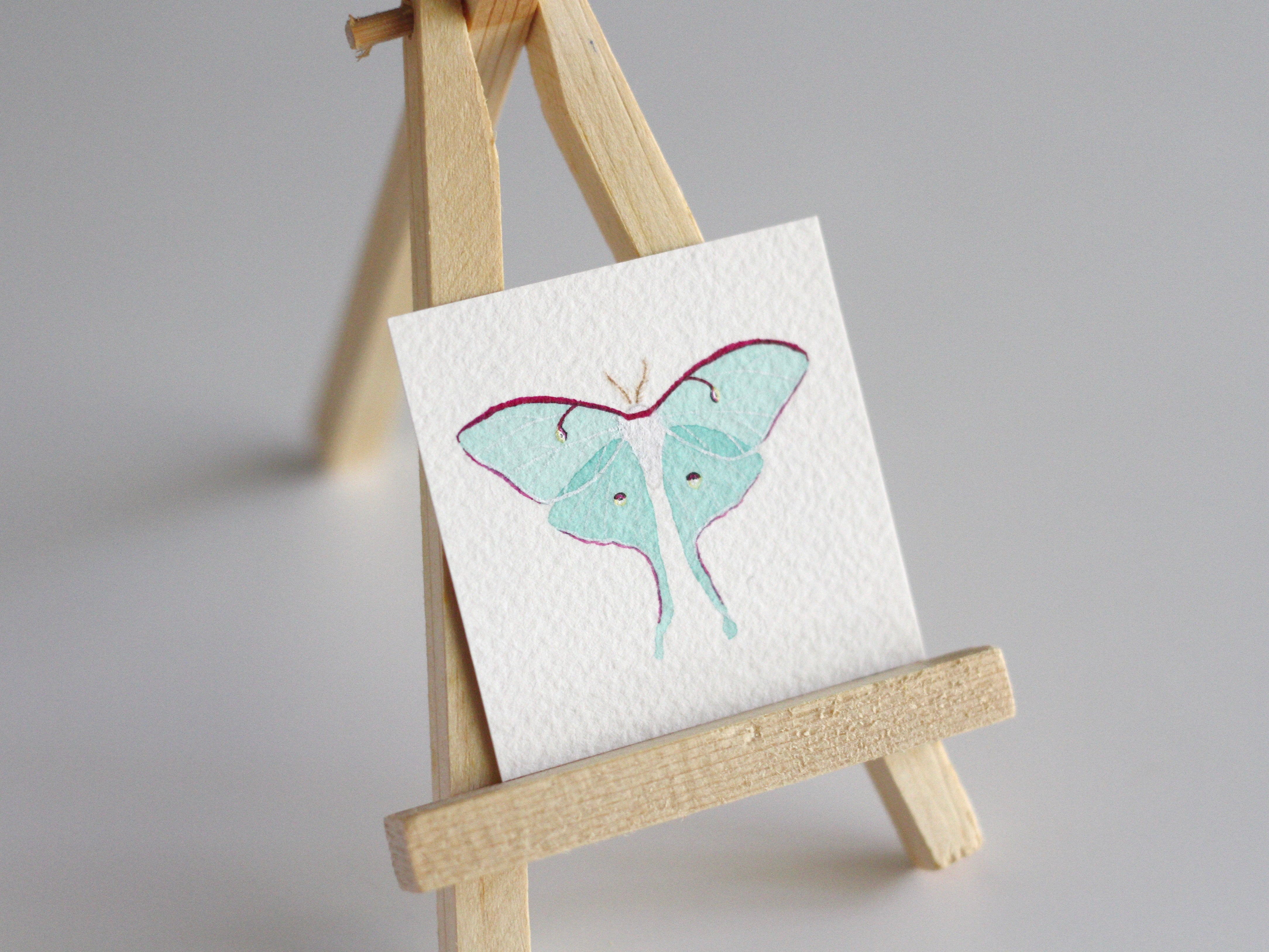 Luna Moth Tiny Watercolour Painting