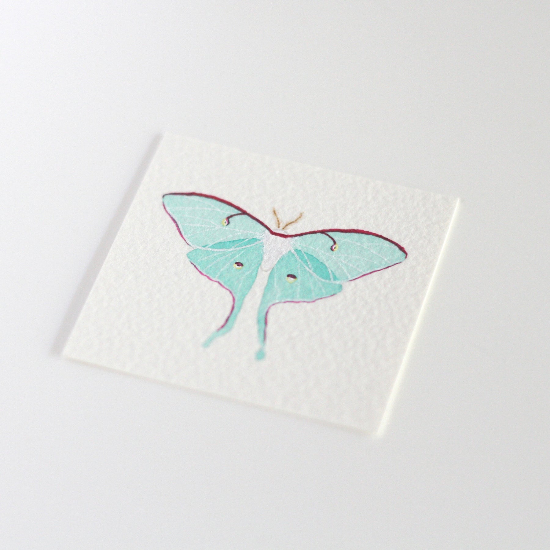 Luna Moth Tiny Watercolour Painting