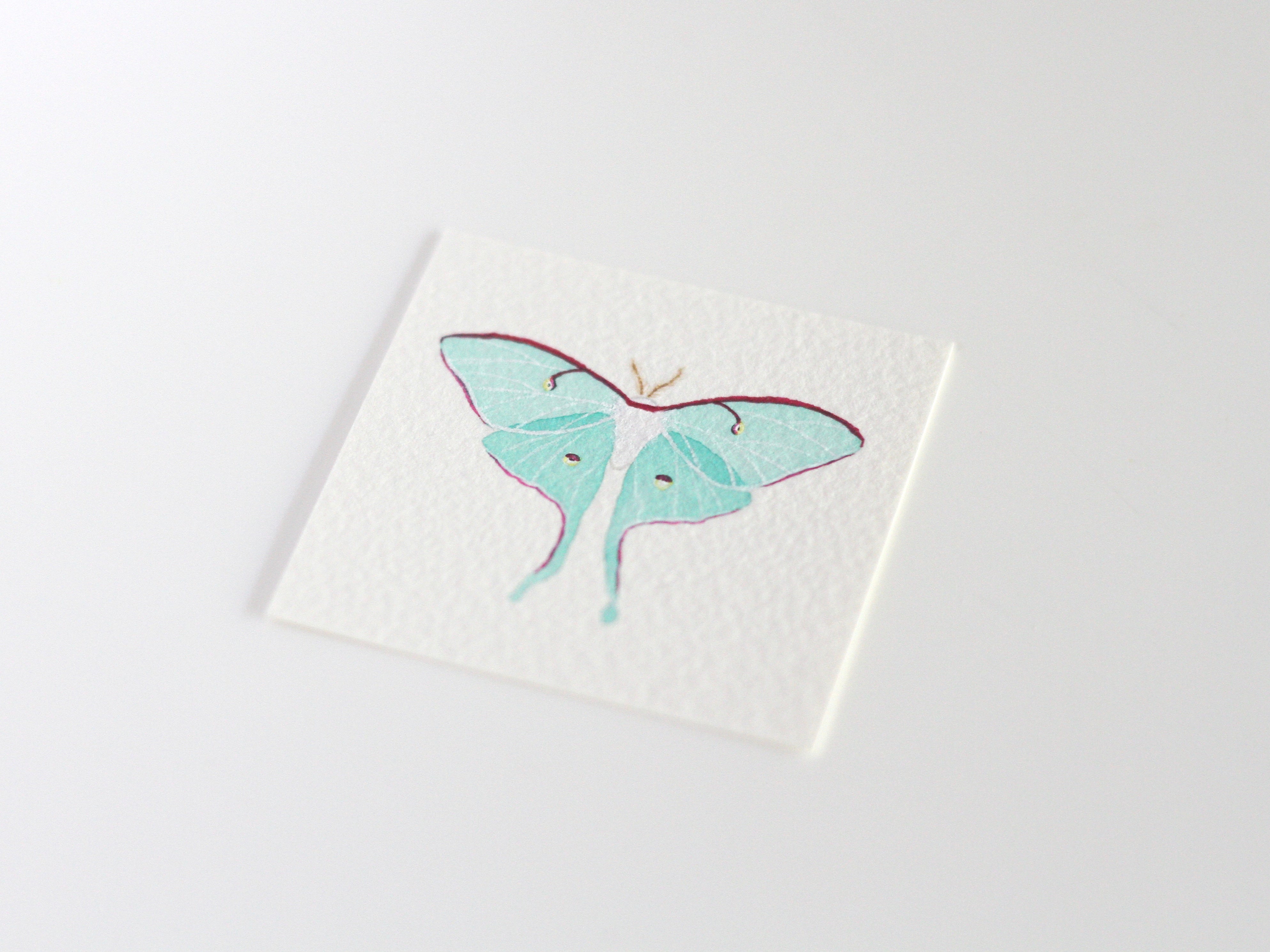 Luna Moth Tiny Watercolour Painting