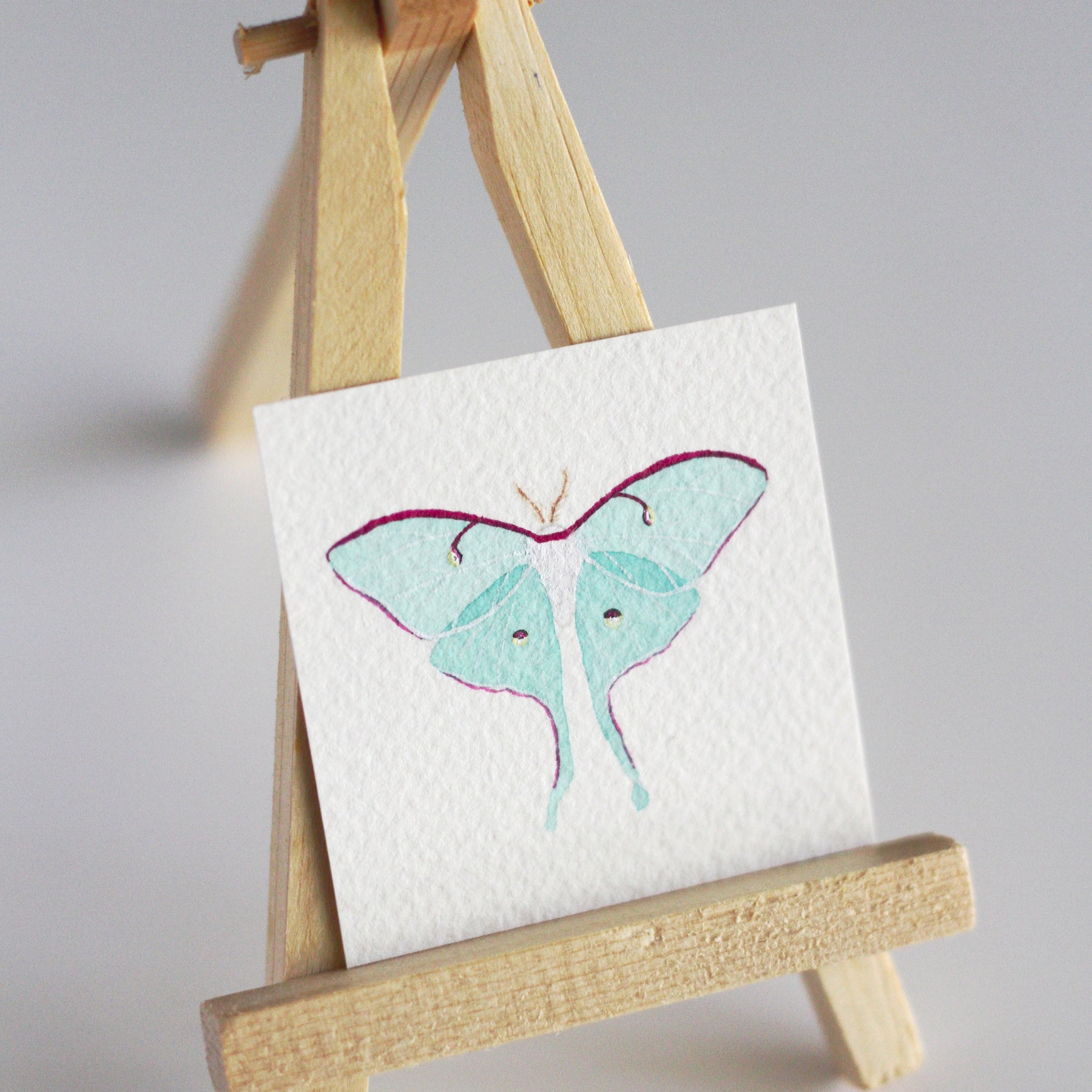 Luna Moth Tiny Watercolour Painting