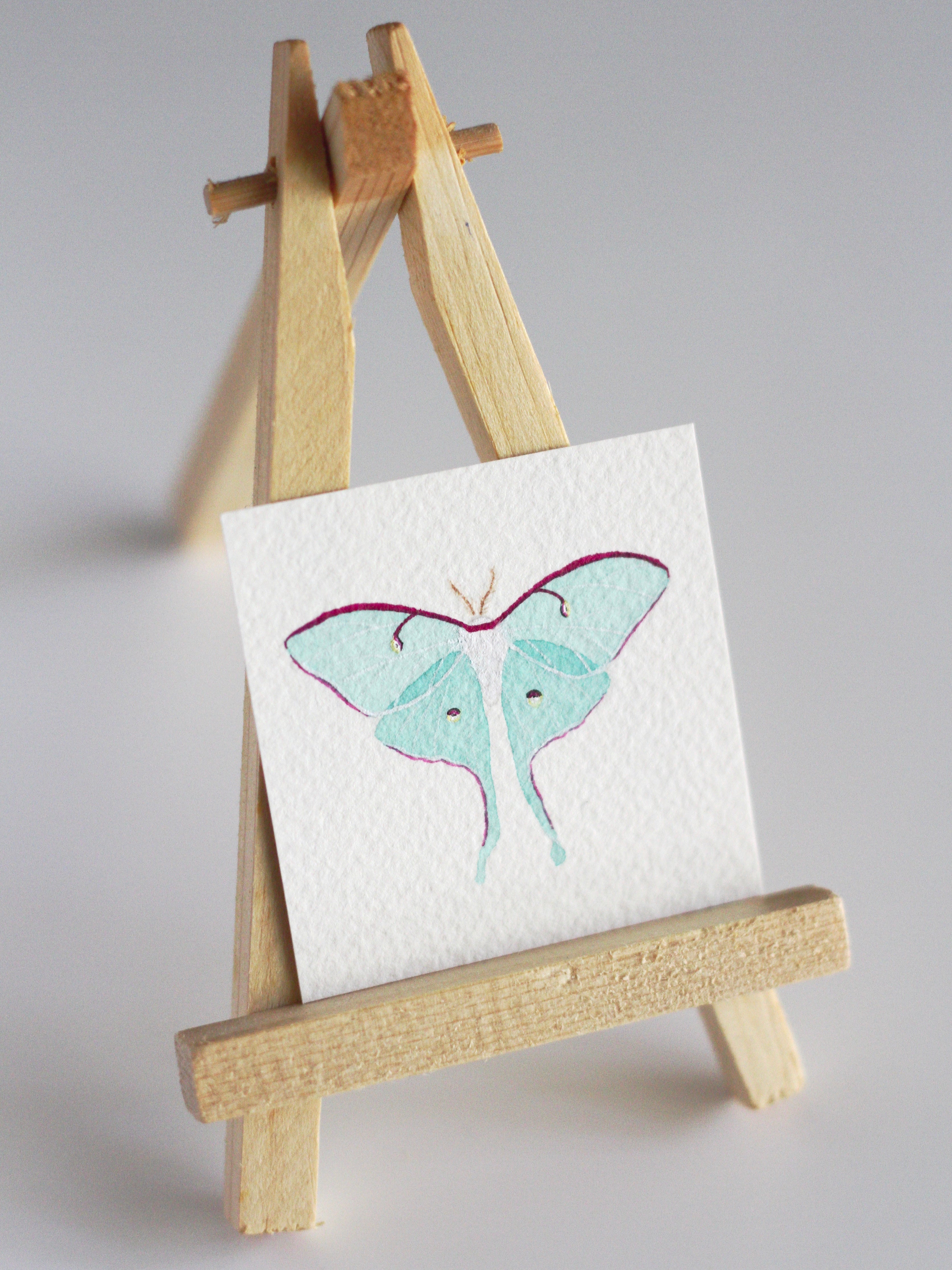 Luna Moth Tiny Watercolour Painting