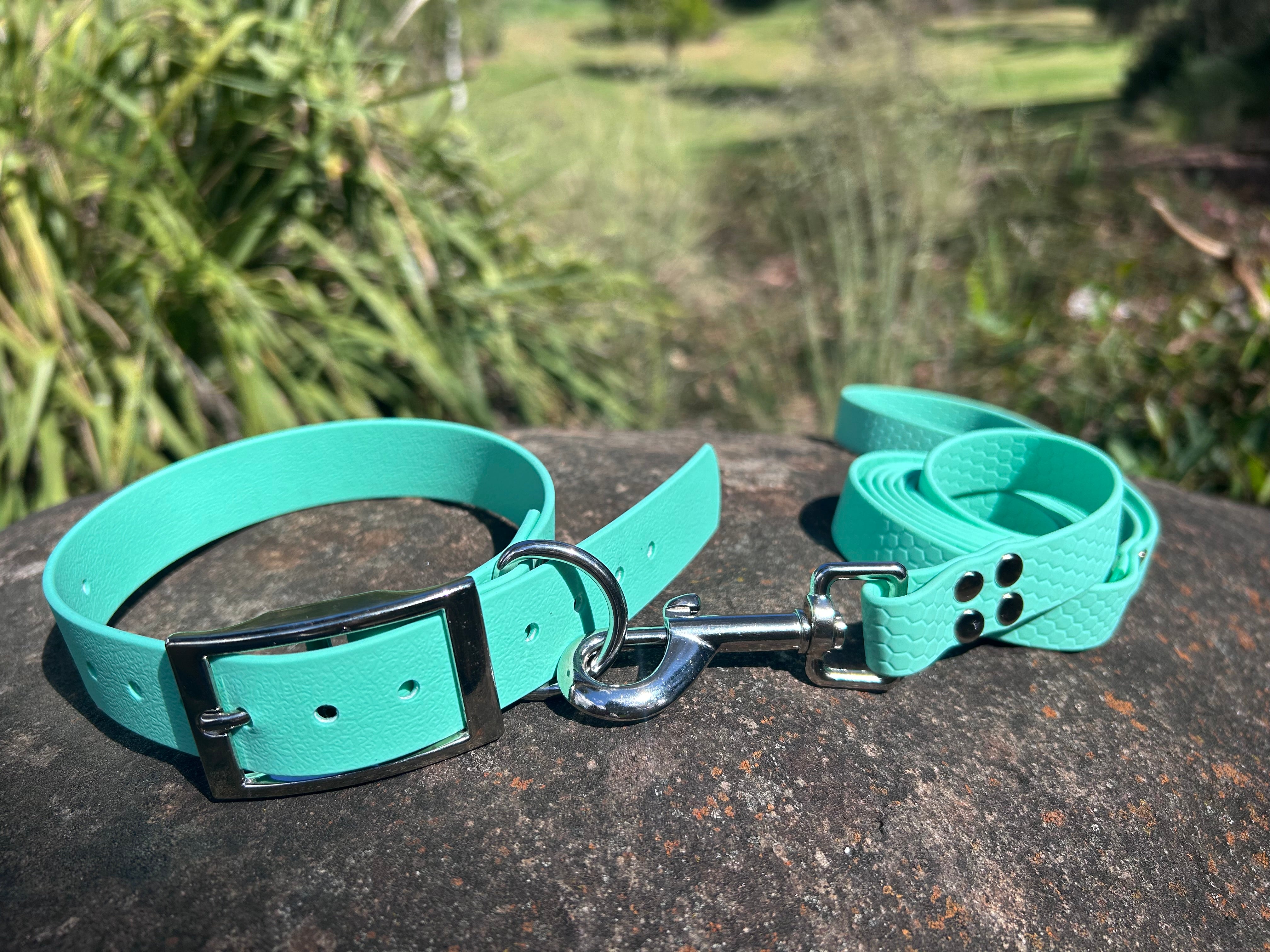 DOG COLLAR AND LEAD SET WATERPROOF BRIGHT STRONG