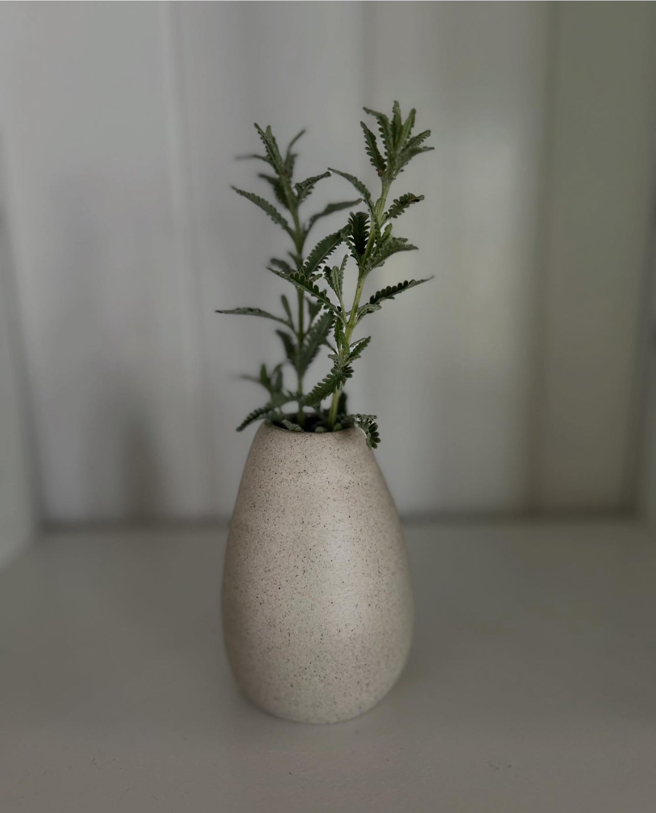 Bud vase
