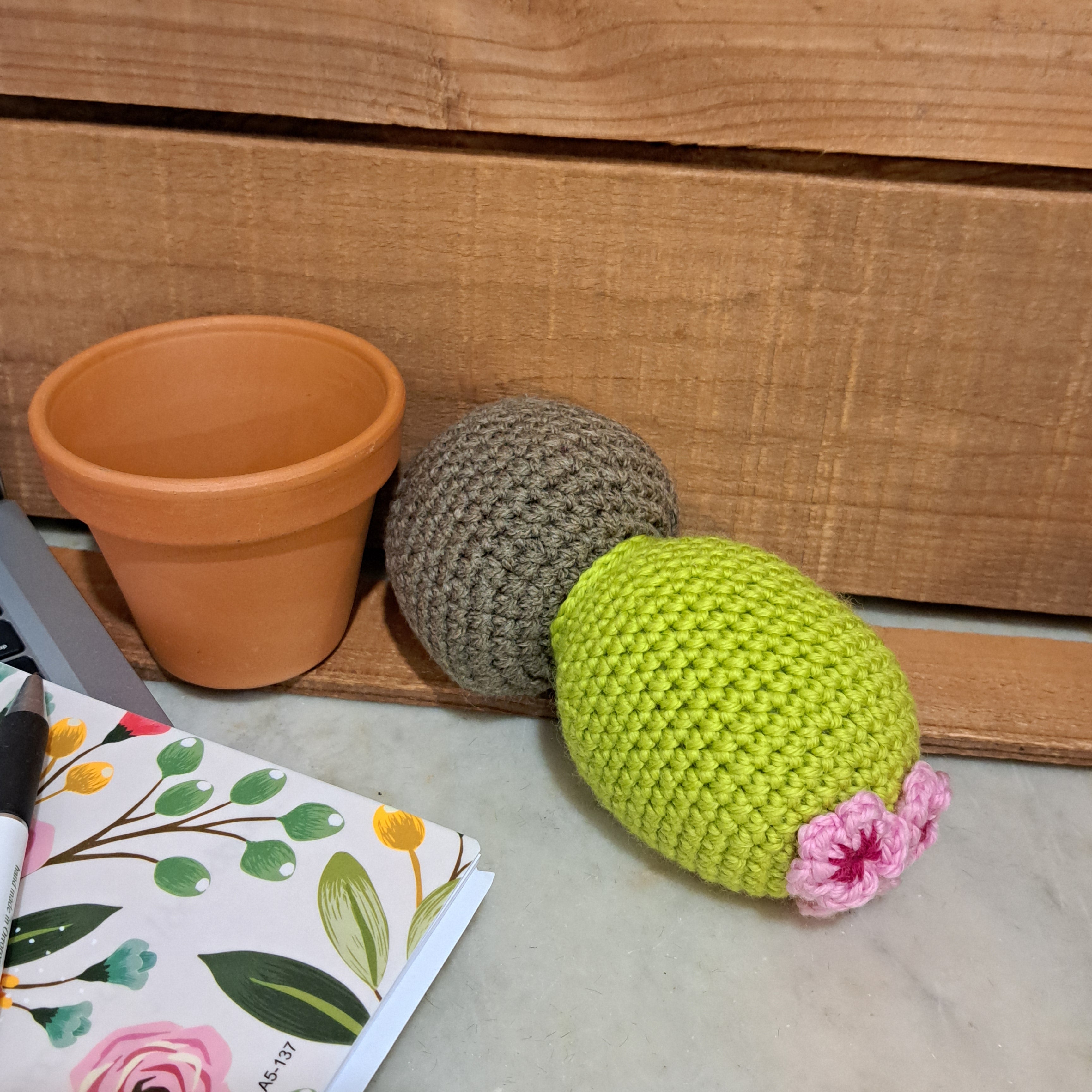 Crochet cactus/ in terracotta pot/ crochet pink flowers