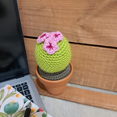 Crochet cactus/ in terracotta pot/ crochet pink flowers