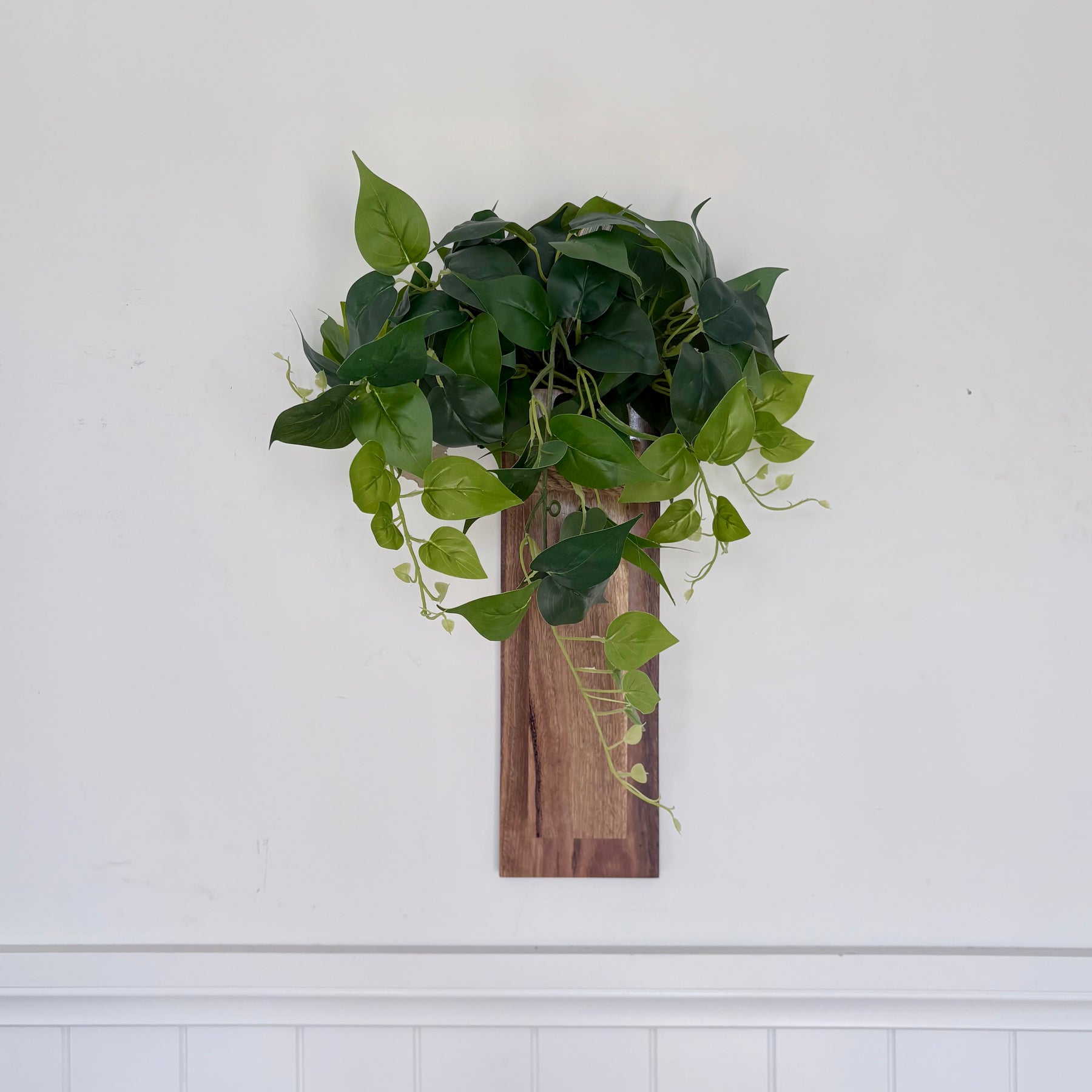 Spotted gum Wall pocket vase