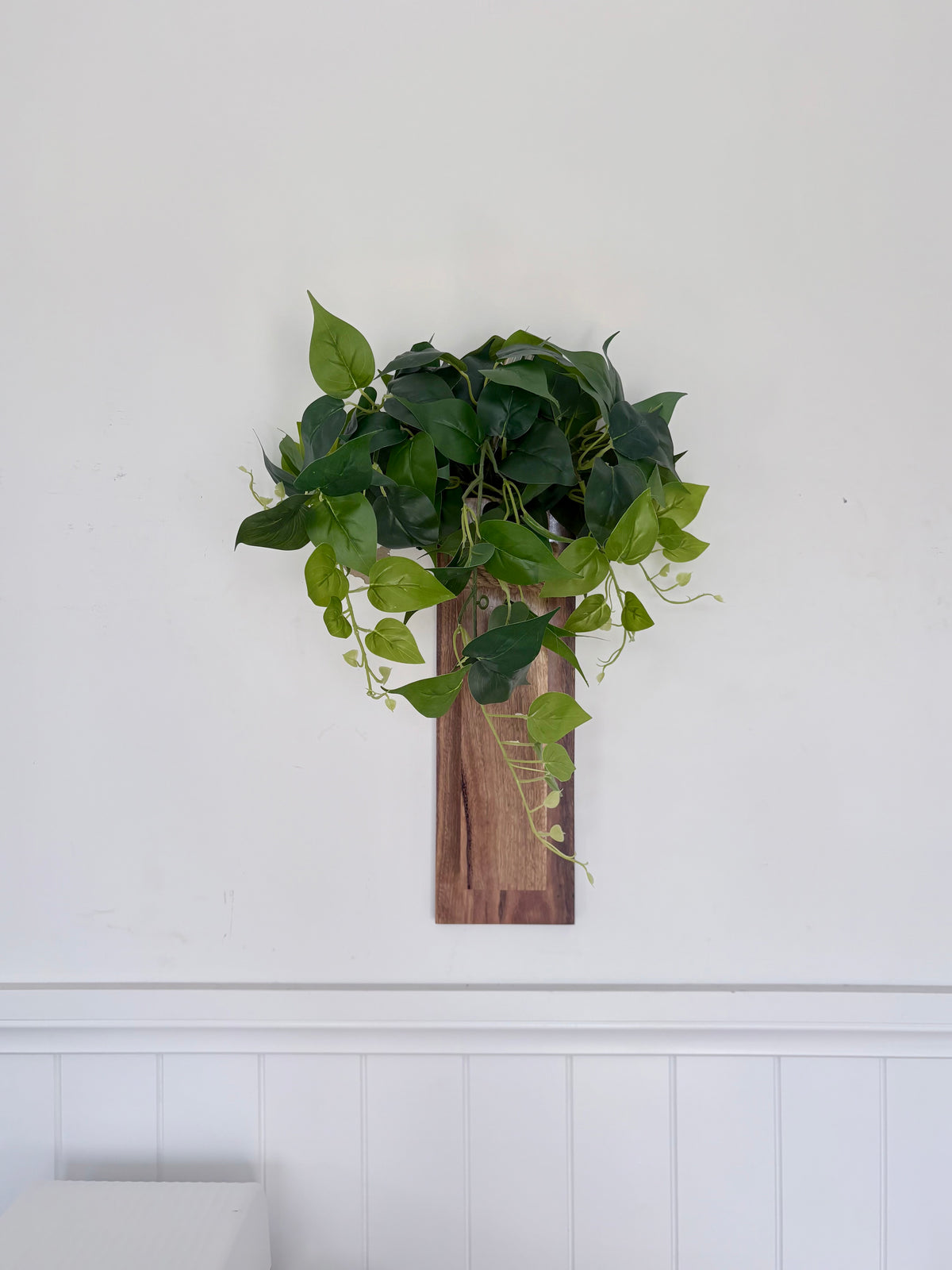 Spotted gum Wall pocket vase