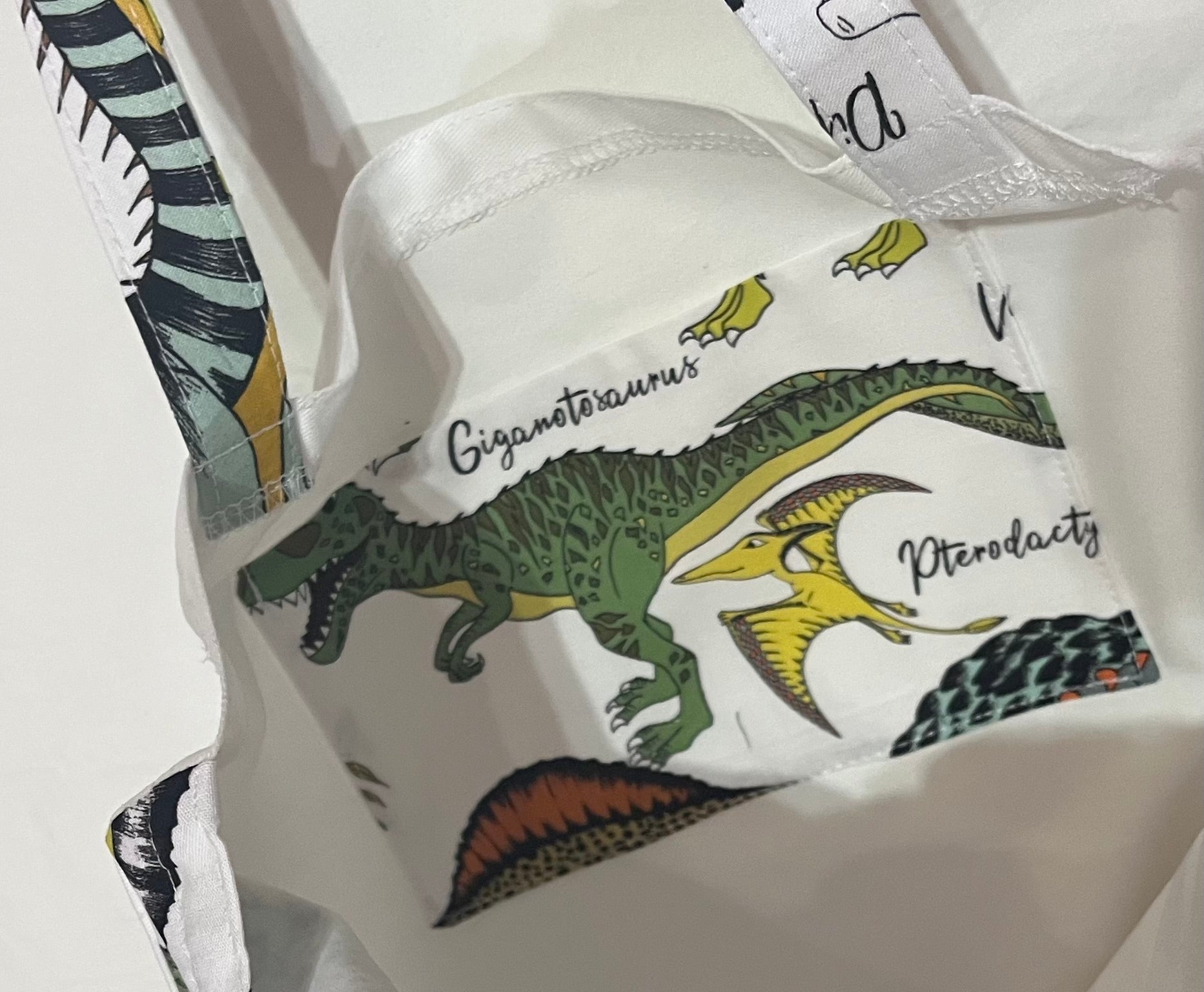 Dinosaurs library/shopping bag